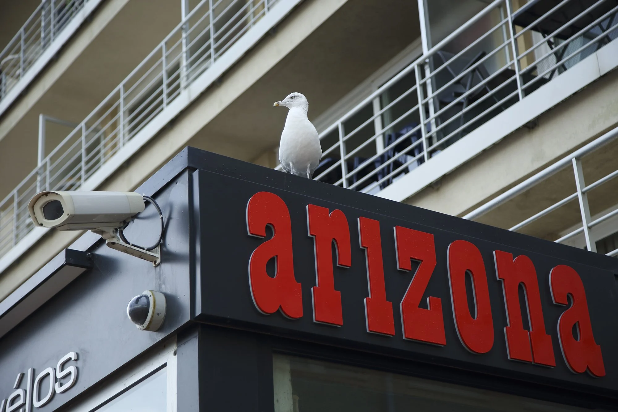 TROPIQUE DU BICKY-36.jpg