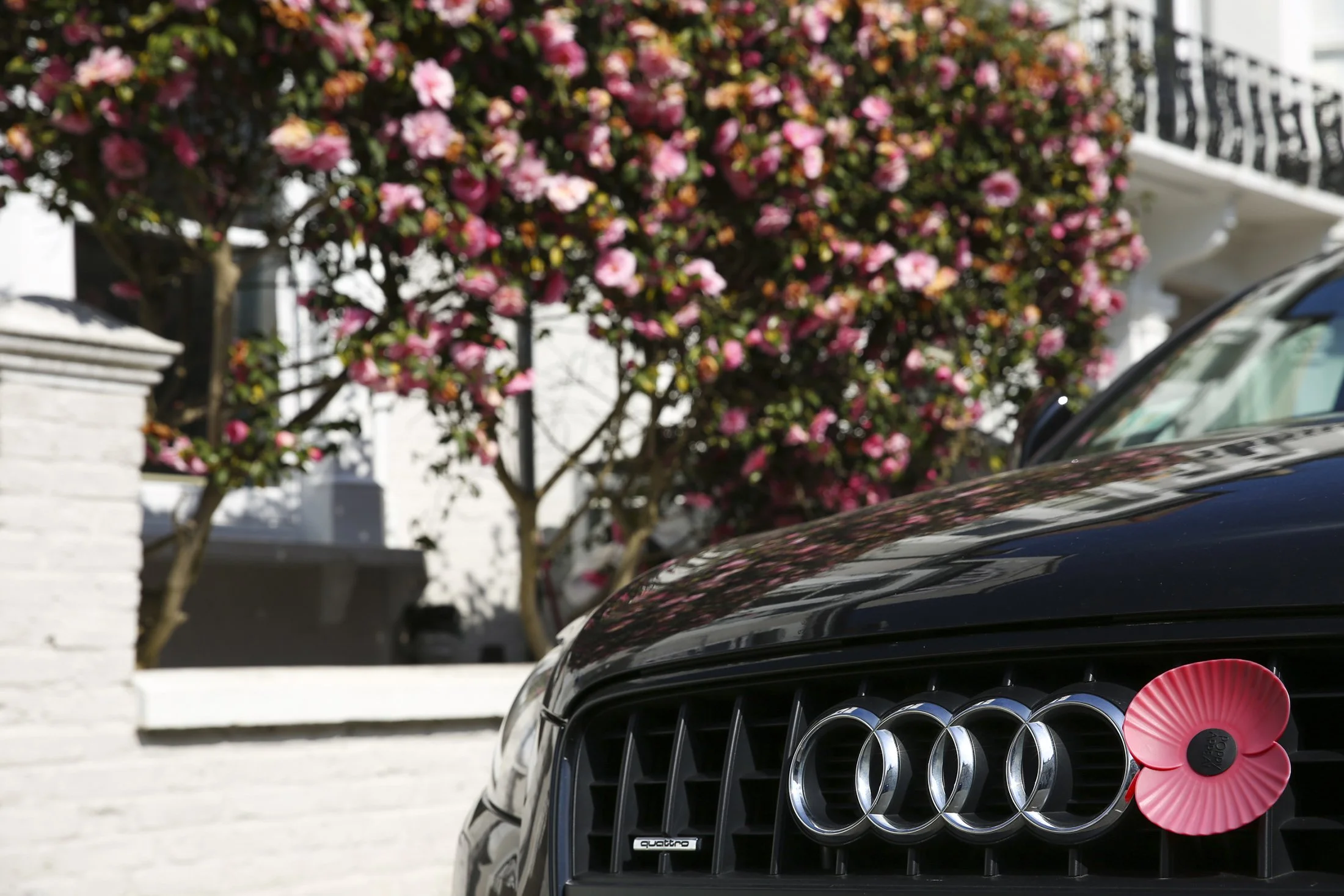 SHOW MUST GO ON_41.jpg