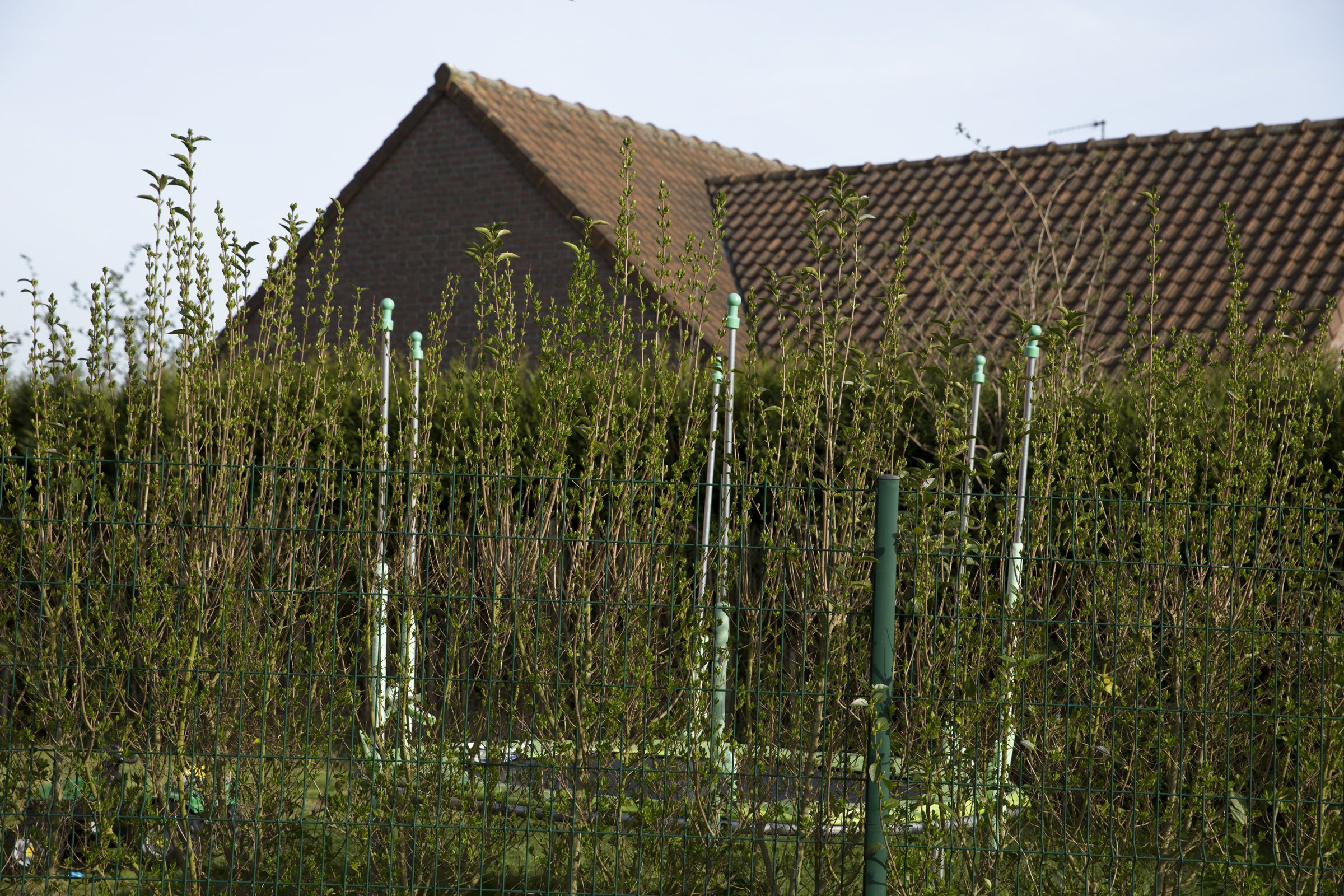 VOYAGE ENNUI_2400 PX-10.jpg