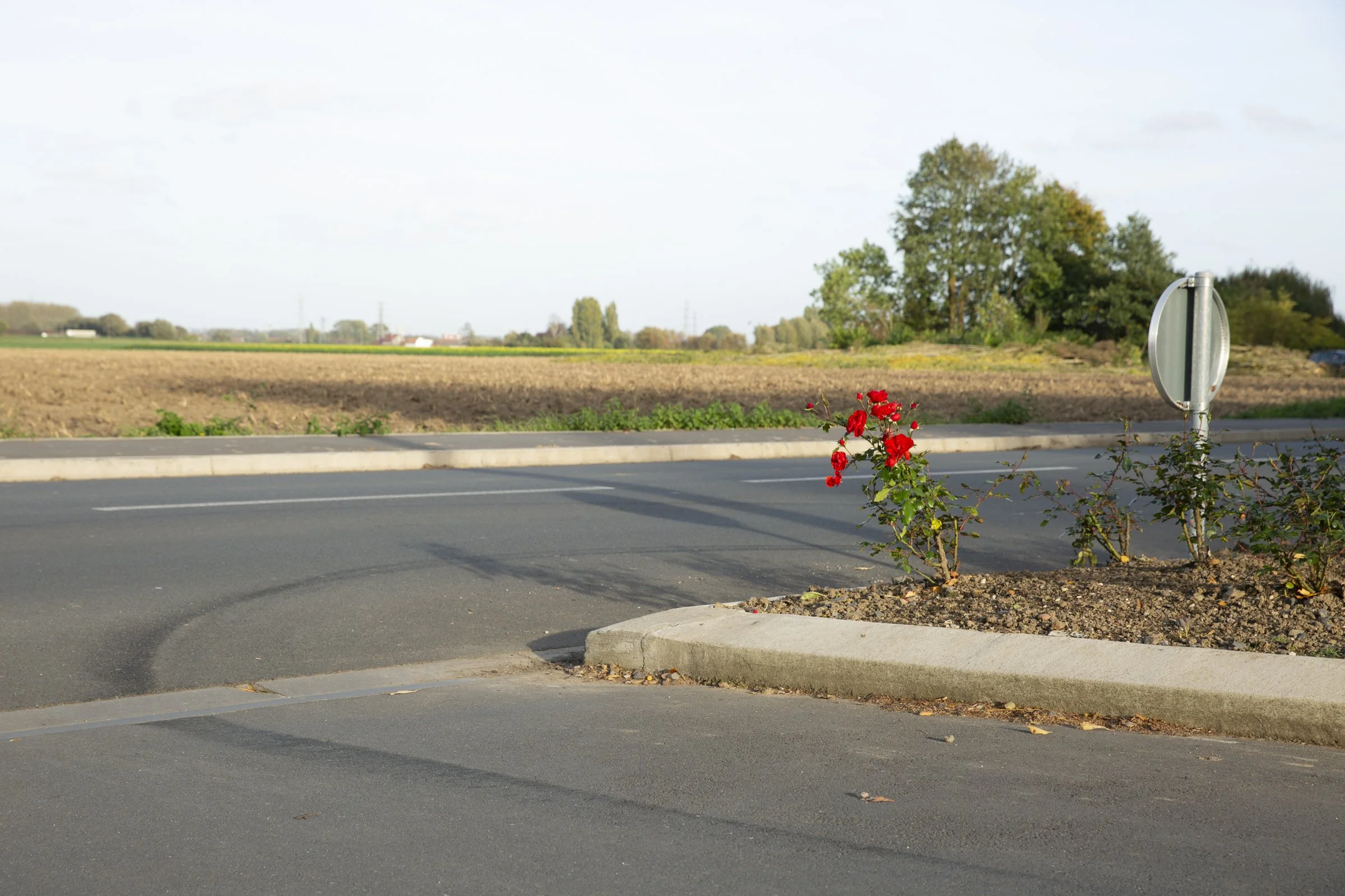 VOYAGE ENNUI_2400 PX-20.jpg