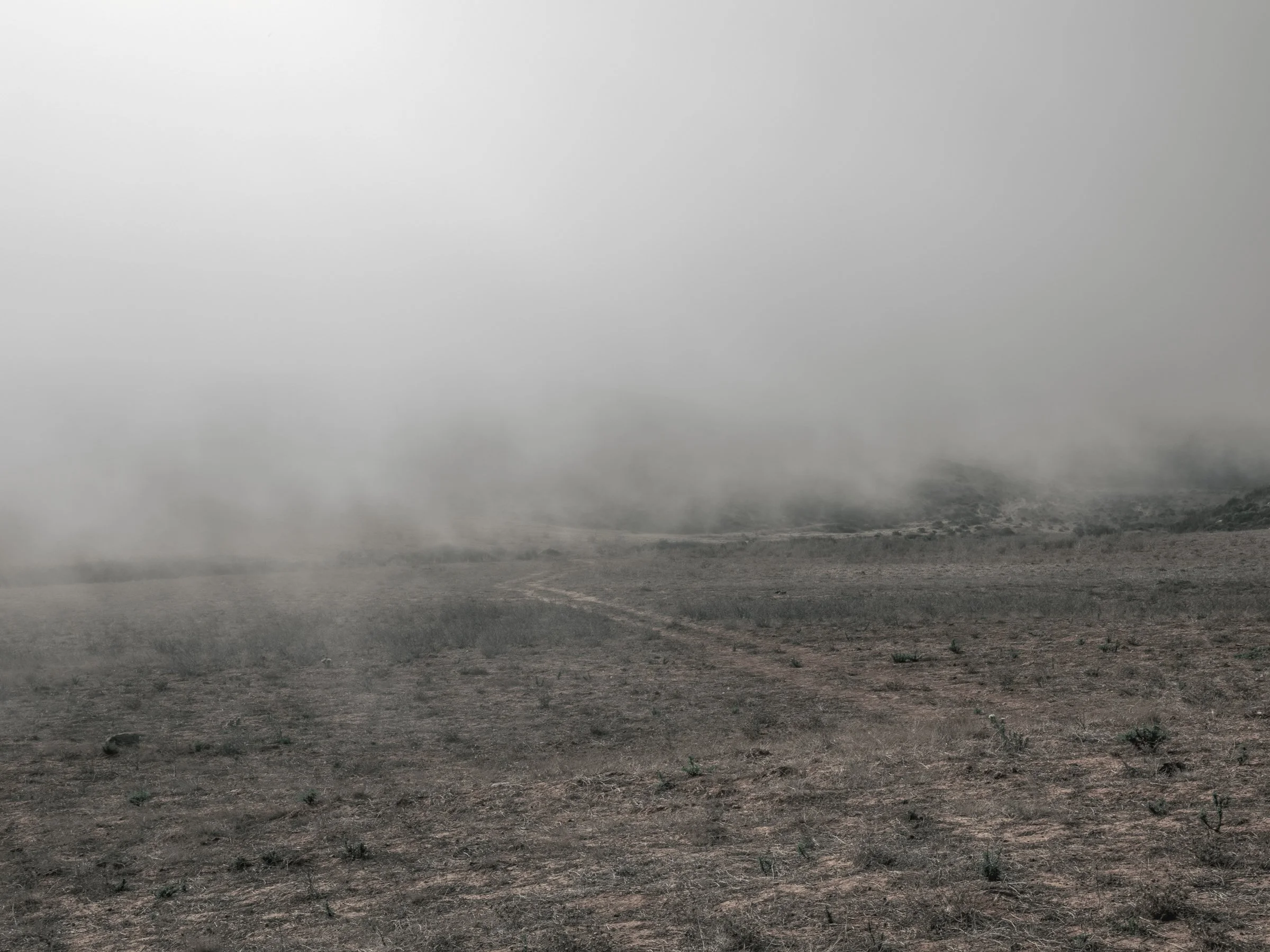 EDIT LONG AMURAS_2400 PX-35.jpg