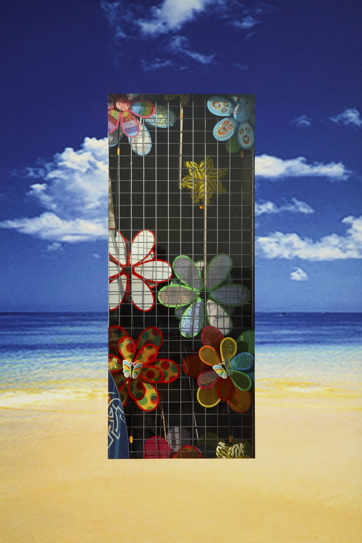 TROPIQUE DU BICKY-18.jpg