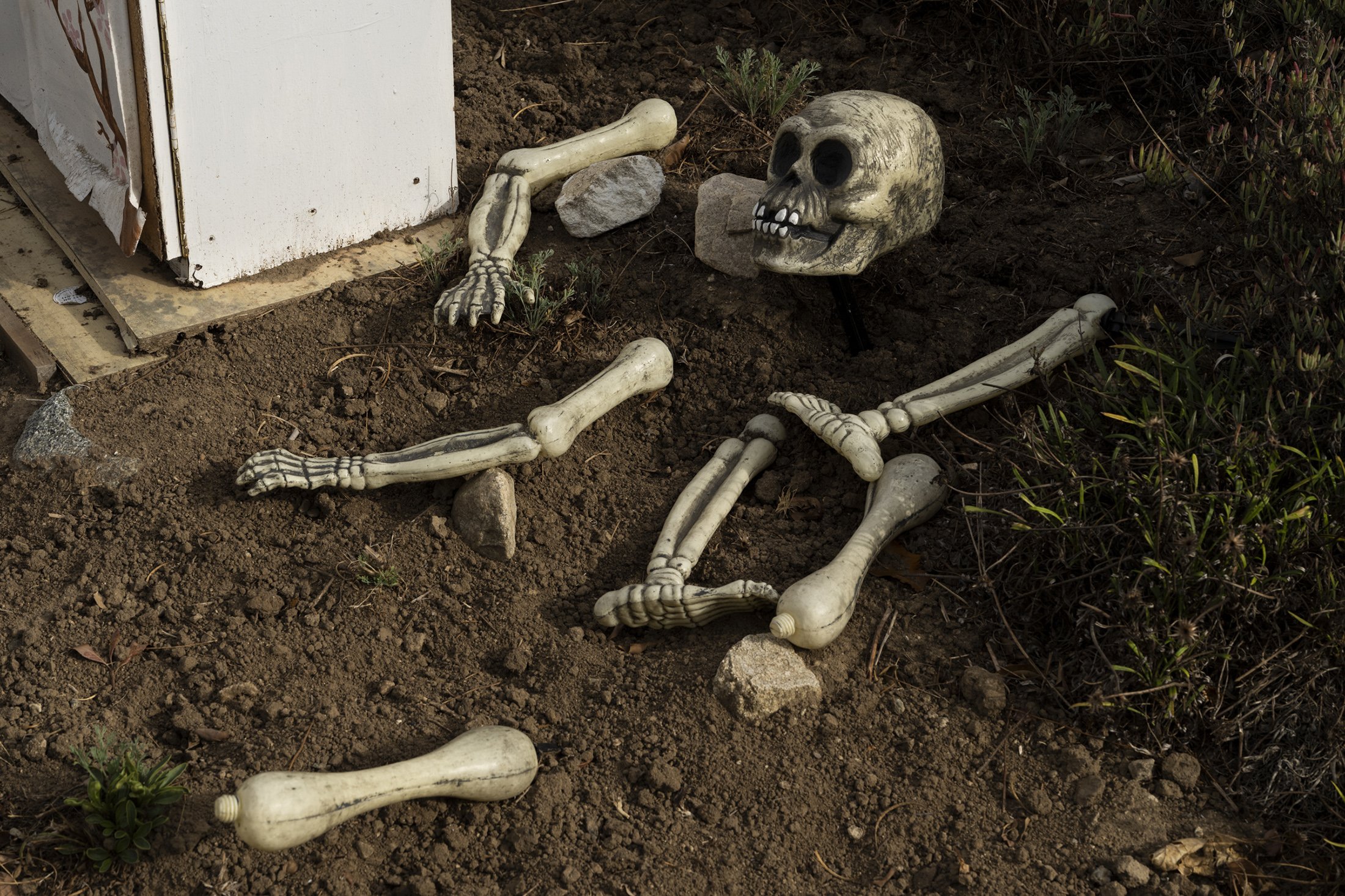 SHOW MUST GO ON_58.jpg