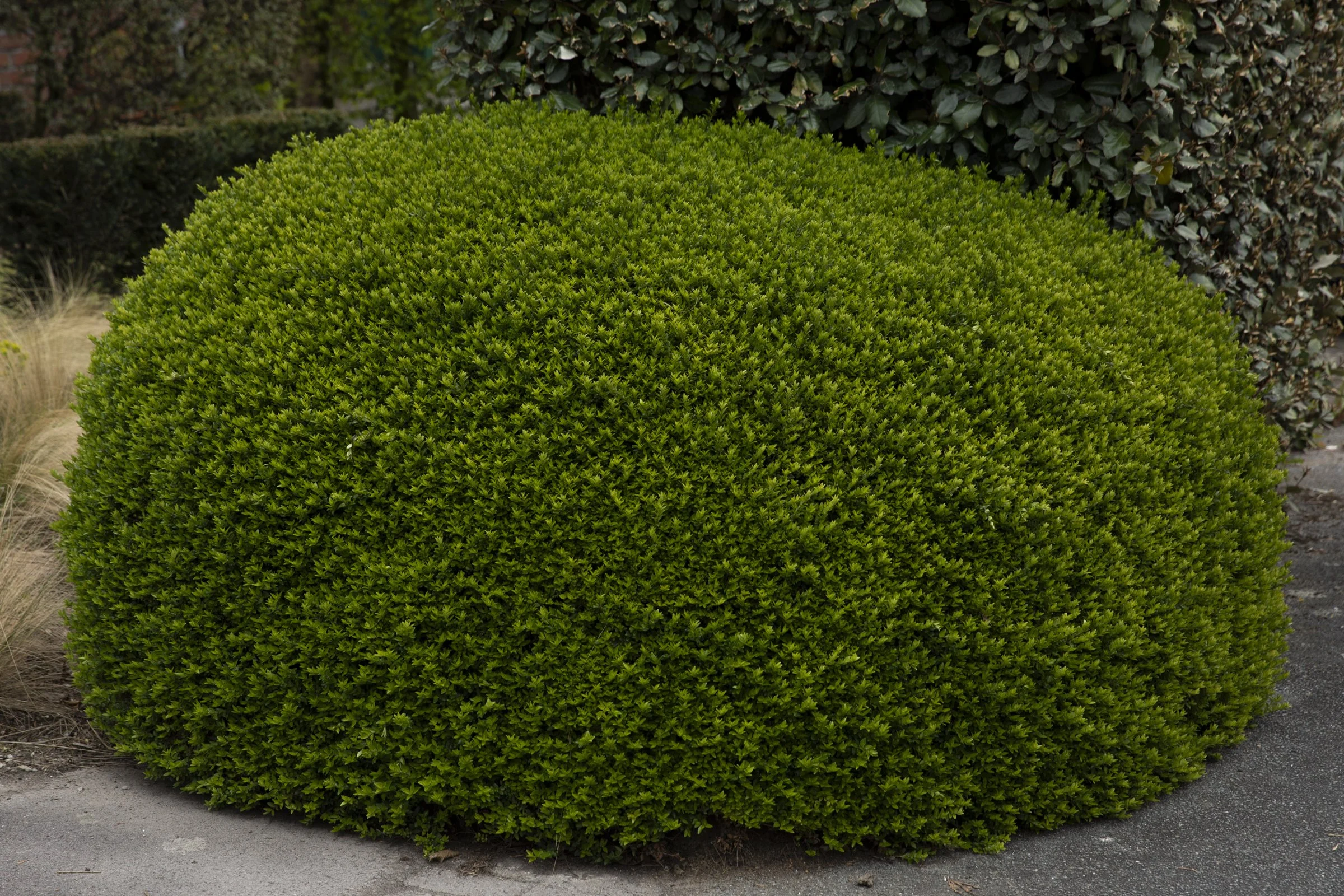 VOYAGE ENNUI_2400 PX-18.jpg