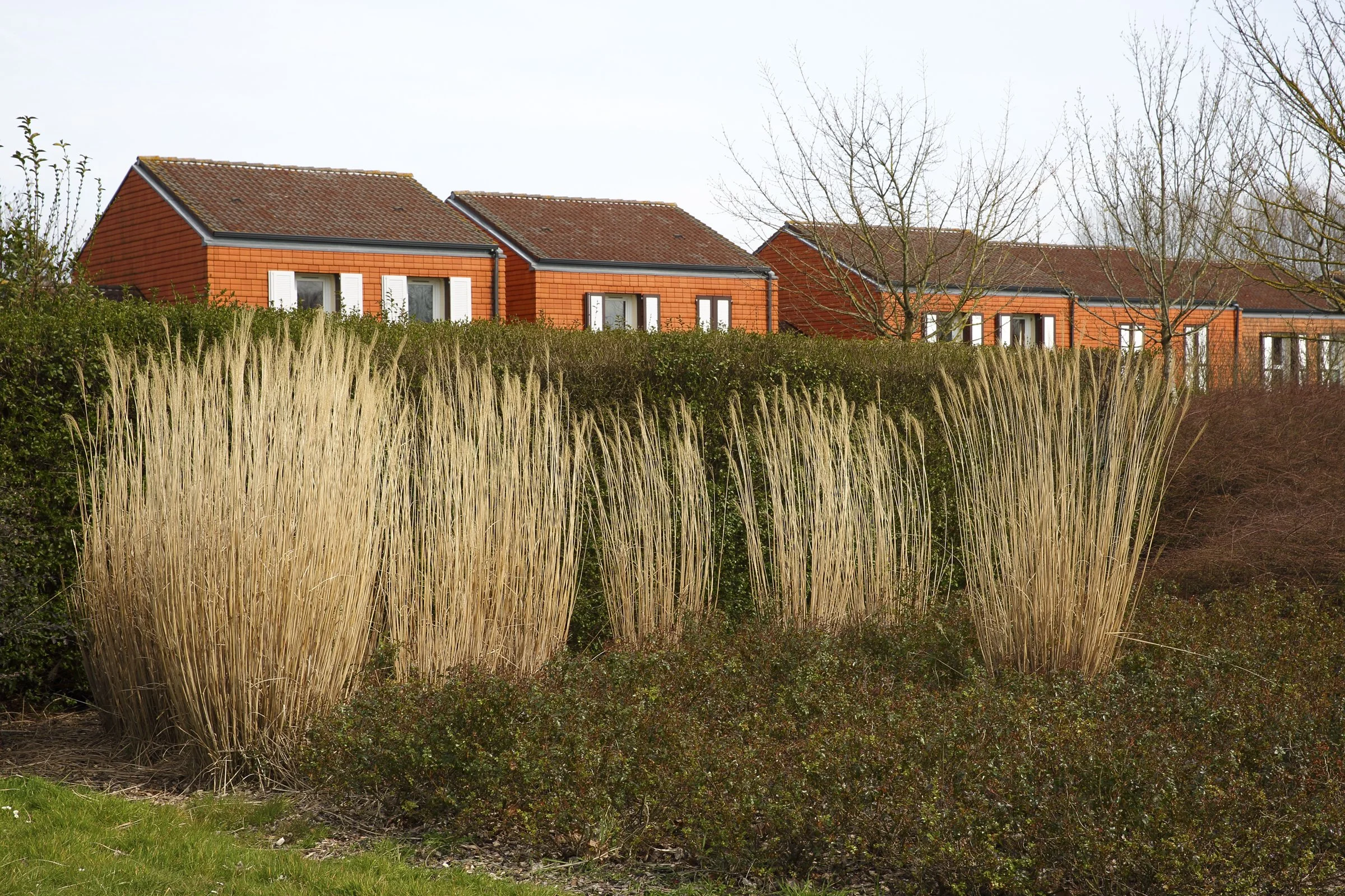 VOYAGE ENNUI_2400 PX-1.jpg