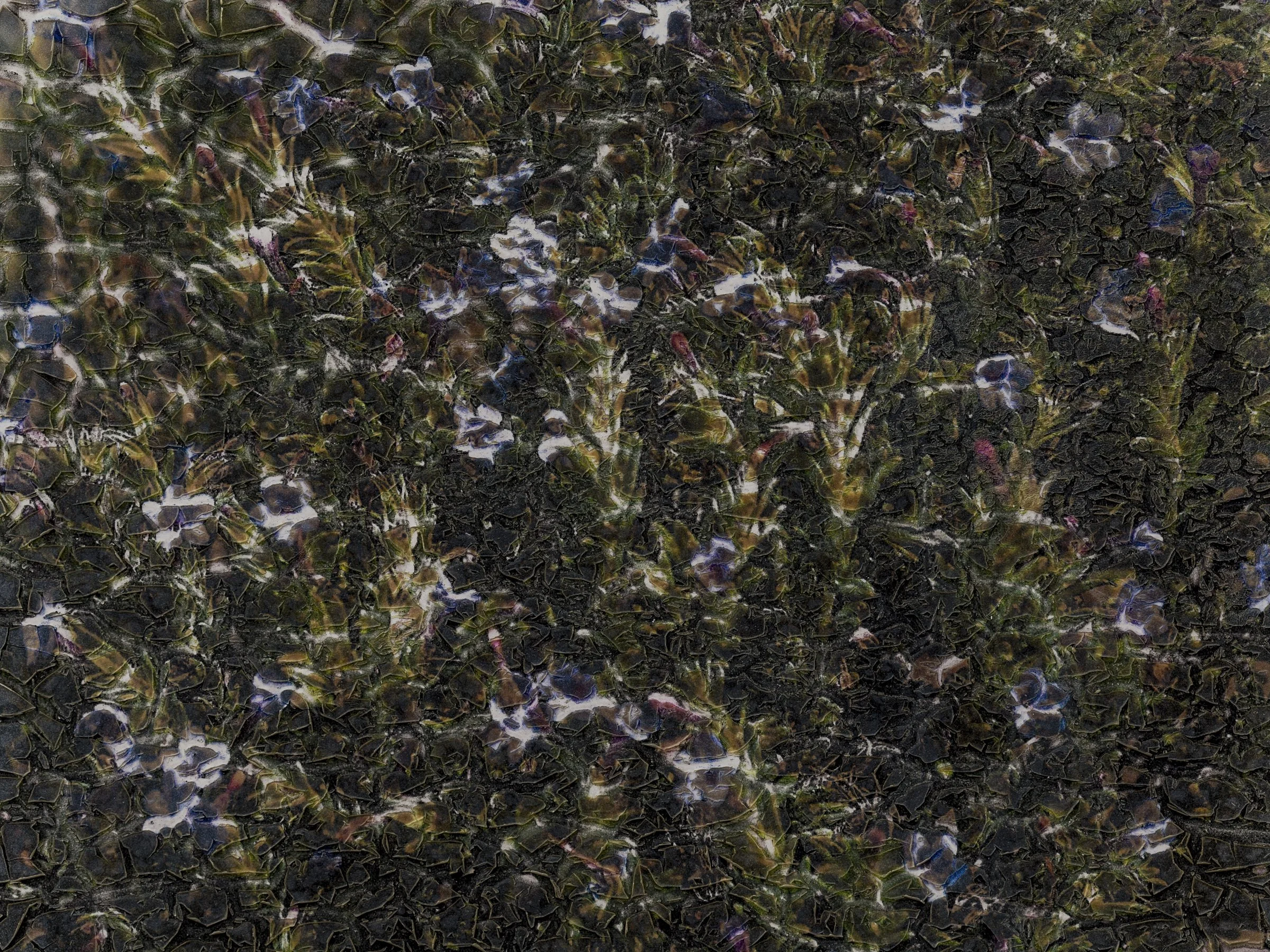 EDIT LONG AMURAS_2400 PX-26.jpg
