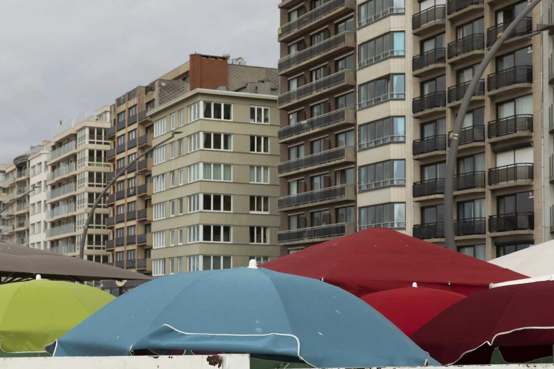 TROPIQUE DU BICKY-28.jpg