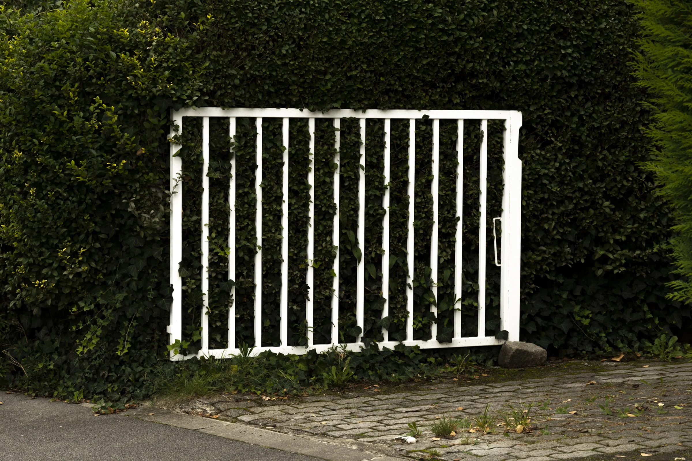 VOYAGE ENNUI_2400 PX-17.jpg