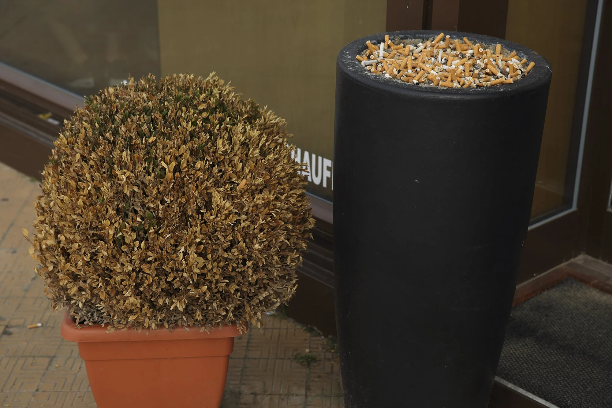 TROPIQUE DU BICKY-25.jpg