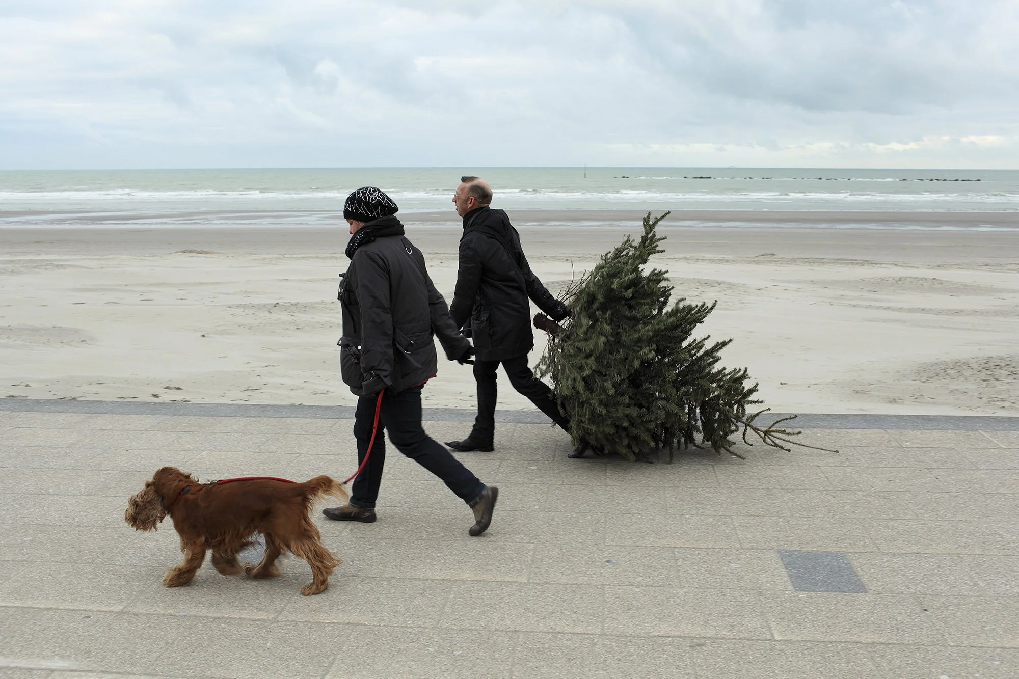 TROPIQUE DU BICKY-39.jpg