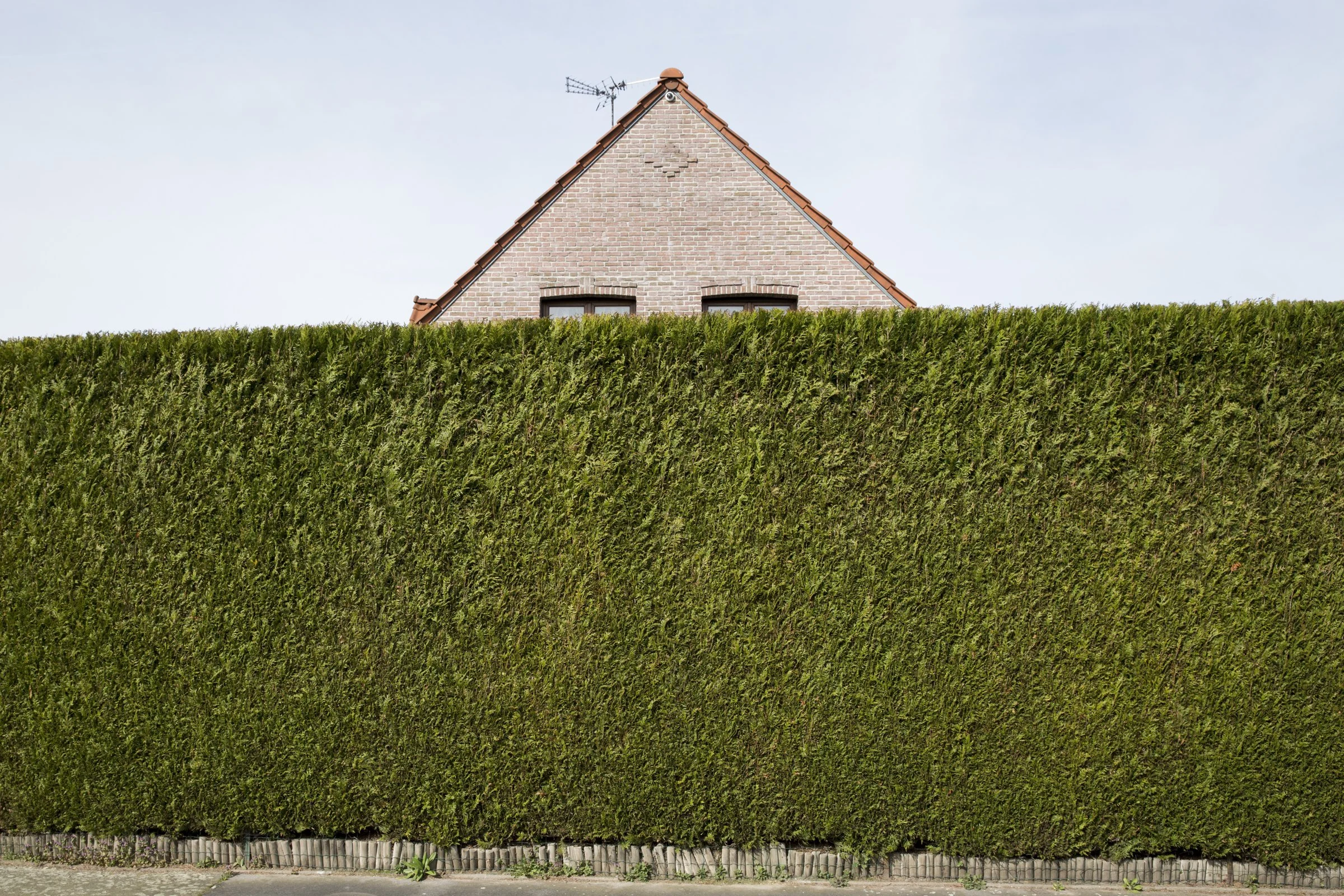 VOYAGE ENNUI_2400 PX-19.jpg