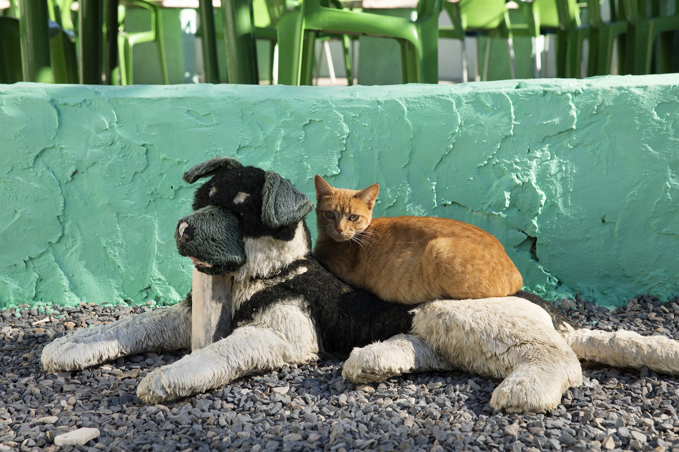 SHOW MUST GO ON_53.jpg