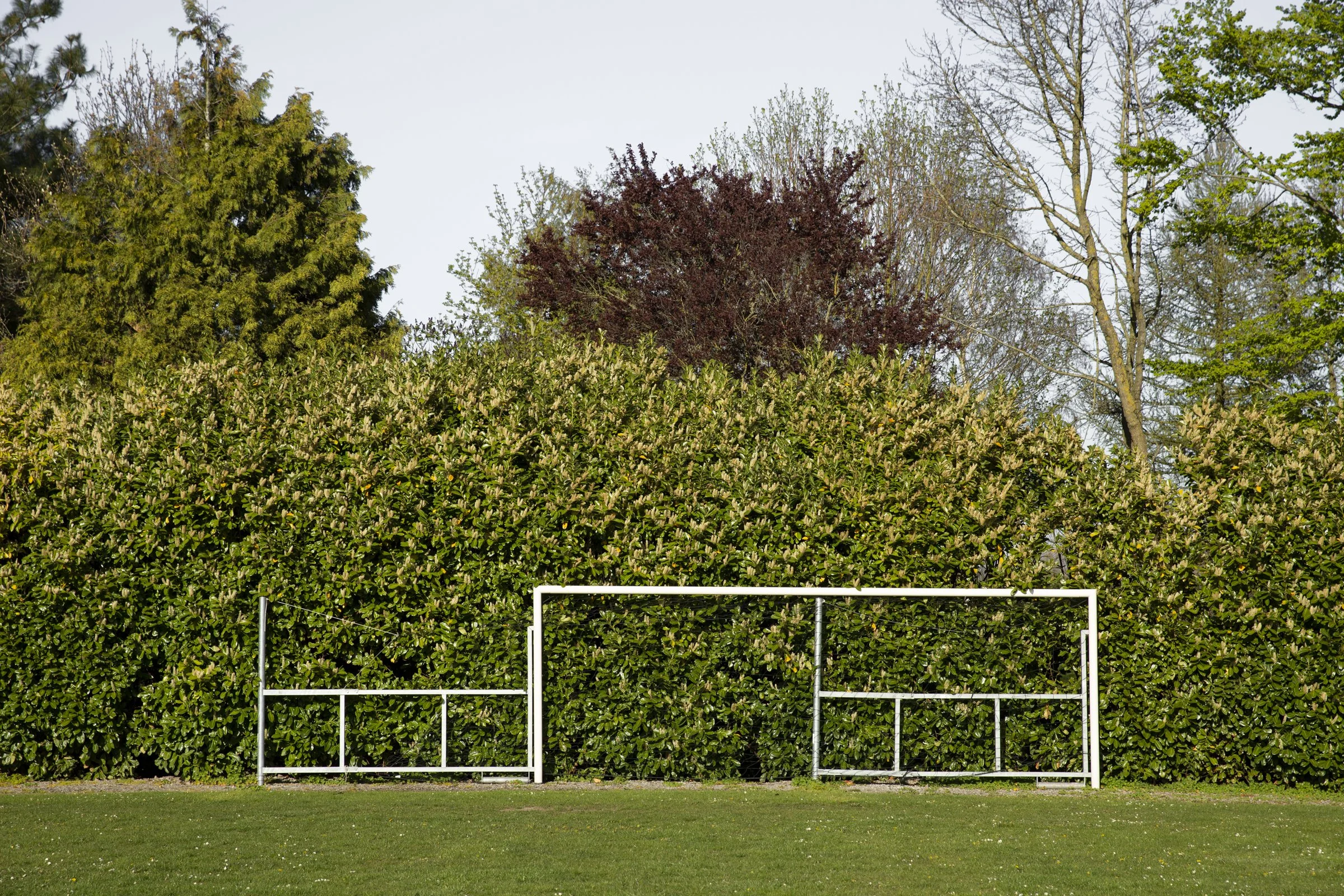 VOYAGE ENNUI_2400 PX-5.jpg