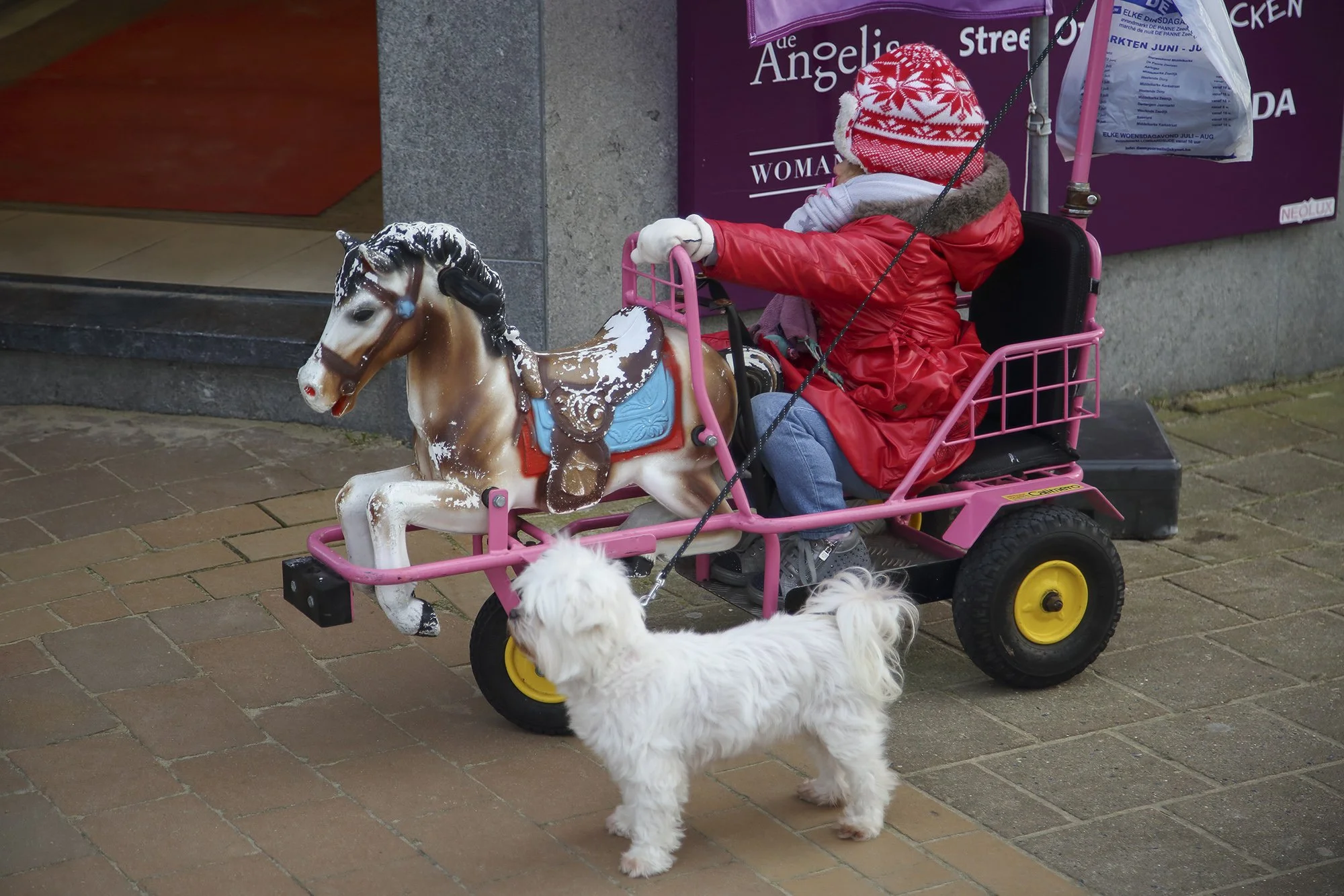 TROPIQUE DU BICKY-34.jpg