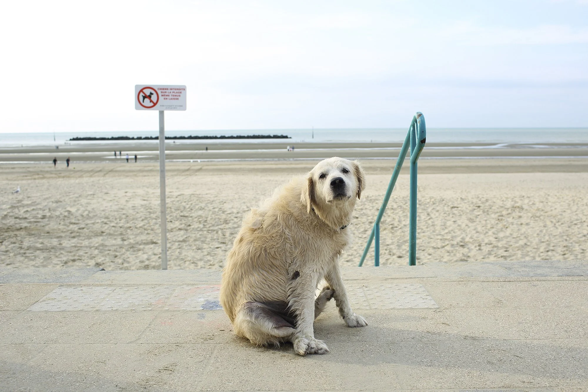 TROPIQUE DU BICKY-35.jpg