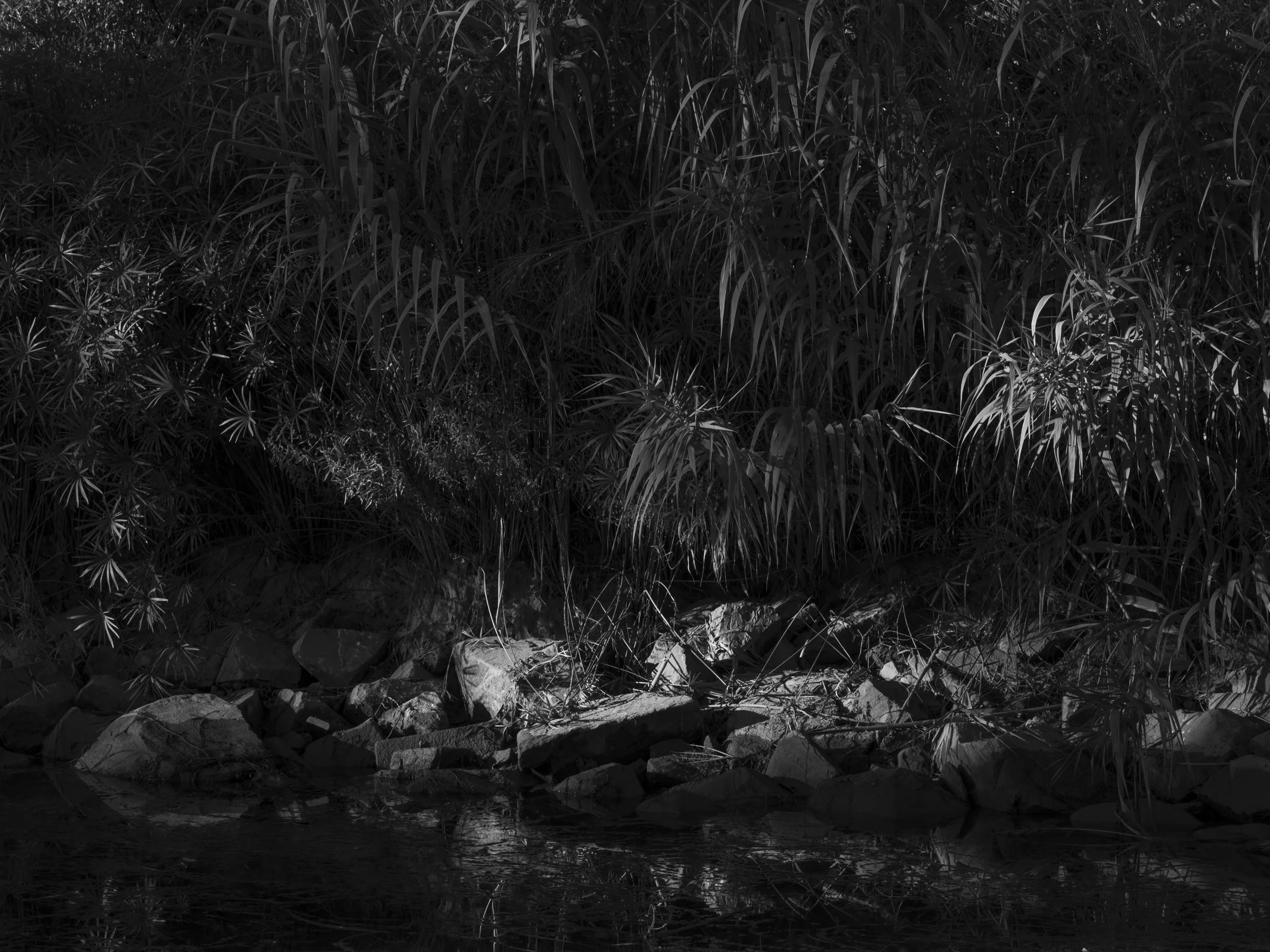 EDIT LONG AMURAS_2400 PX-19.jpg