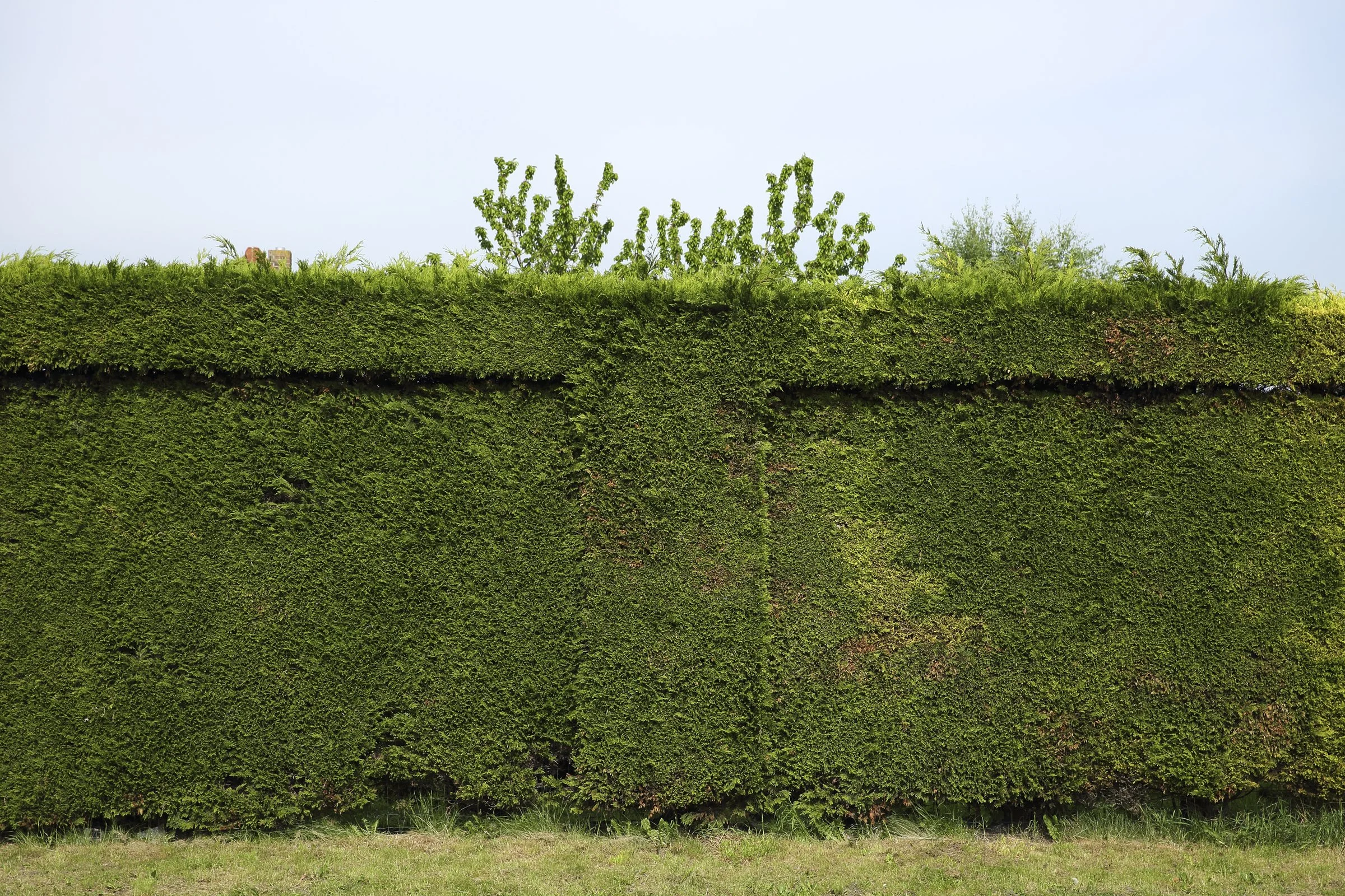 VOYAGE ENNUI_2400 PX-16.jpg