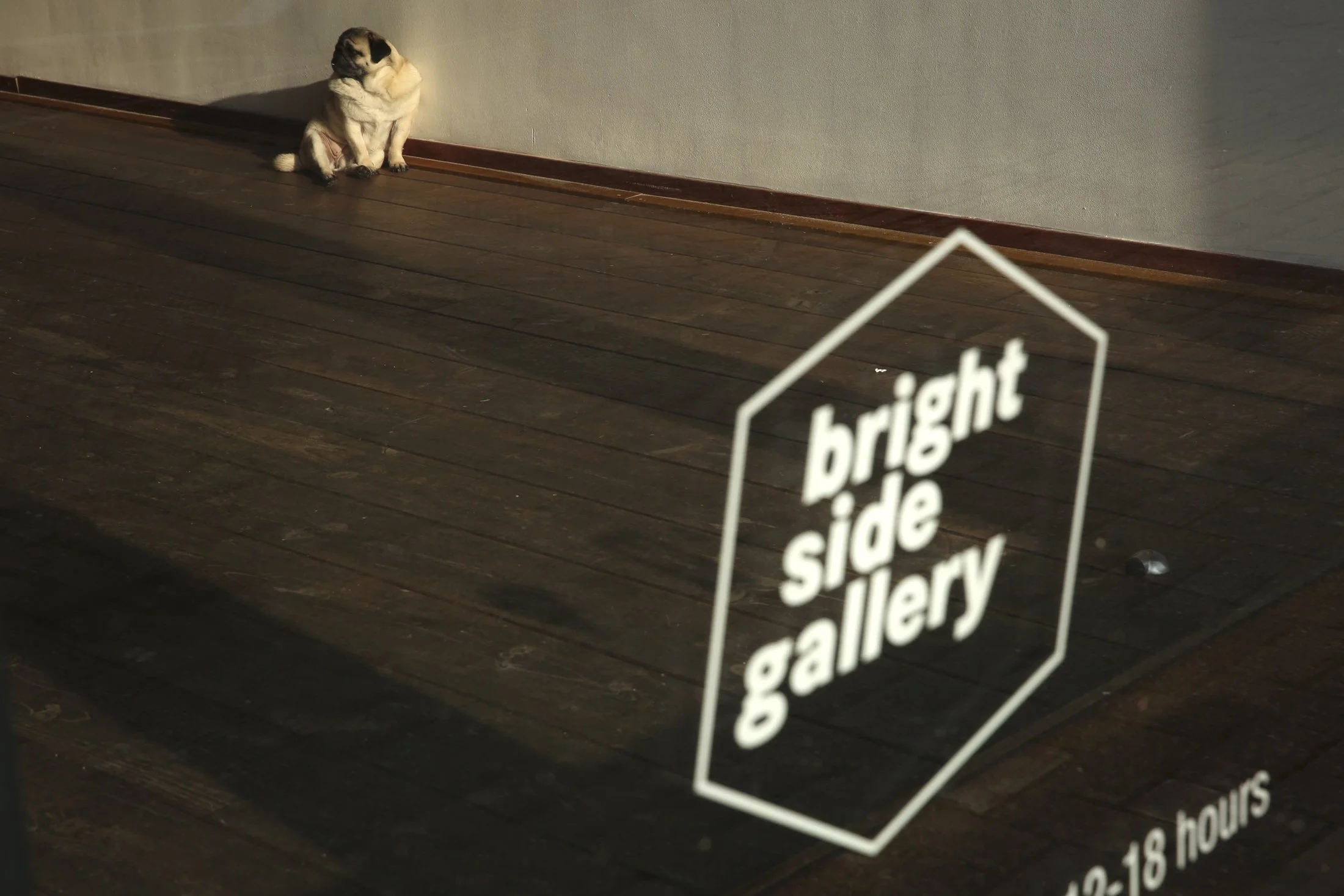 SHOW MUST GO ON_54.jpg