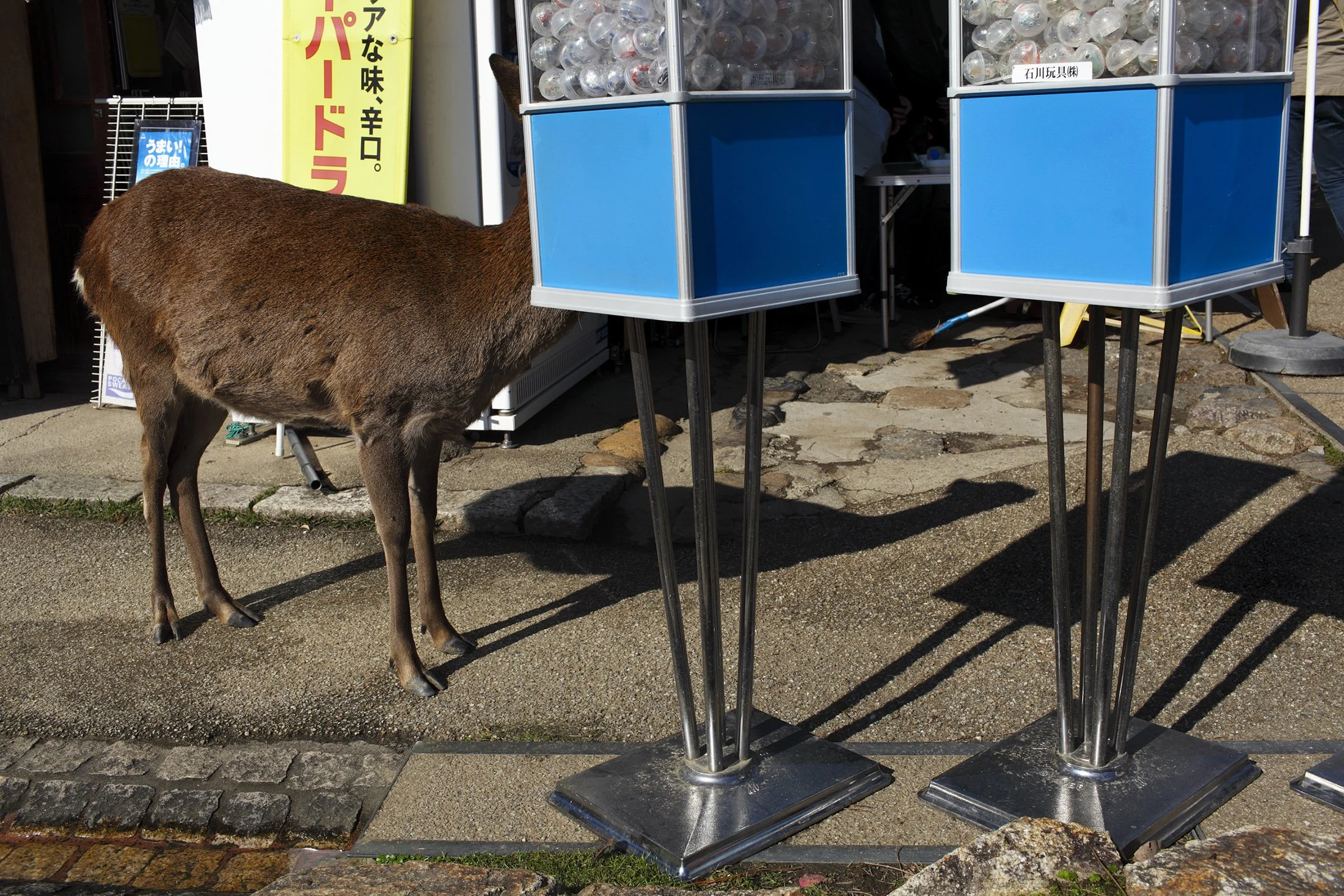 SHOW MUST GO ON_45.jpg