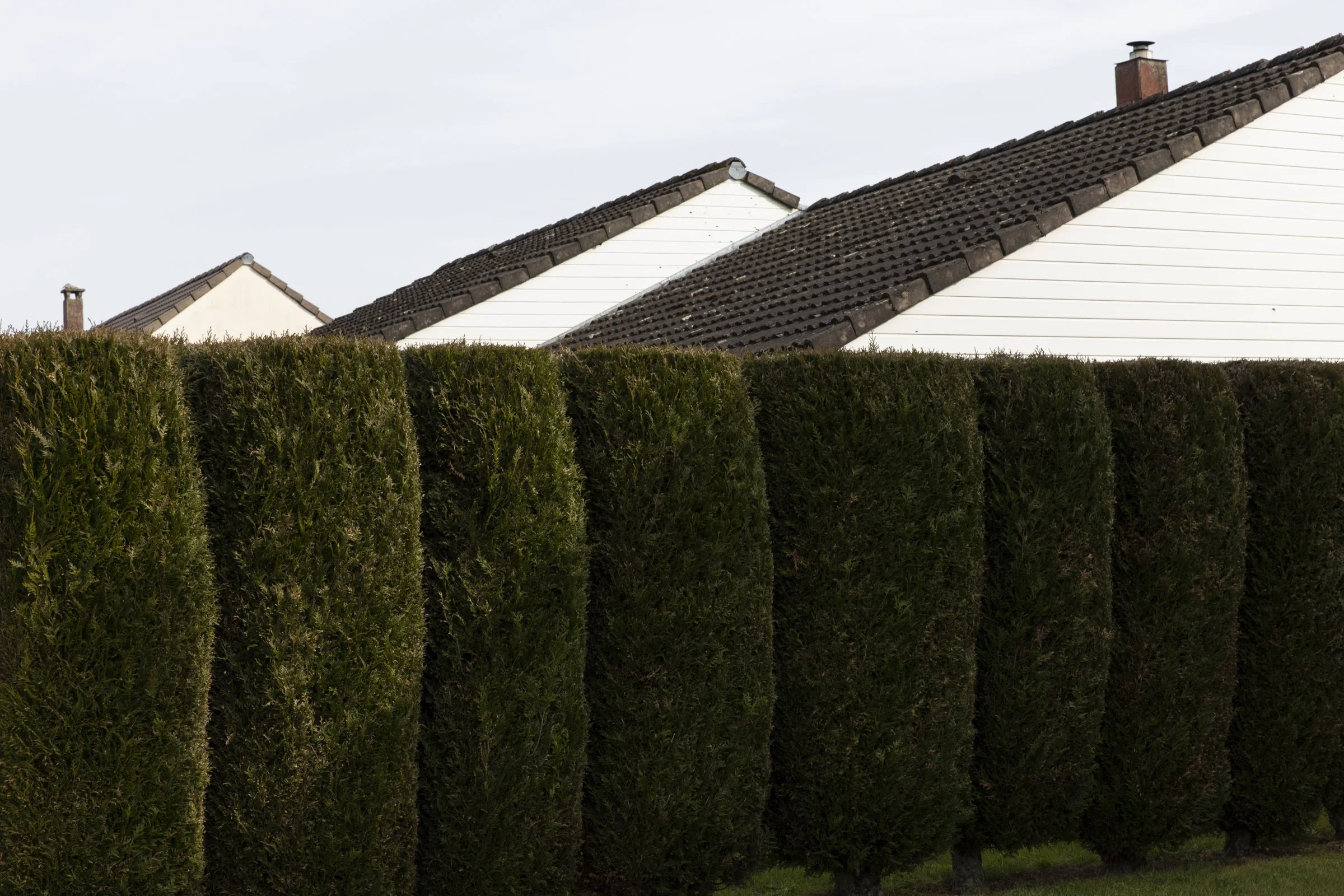 VOYAGE ENNUI_2400 PX-7.jpg