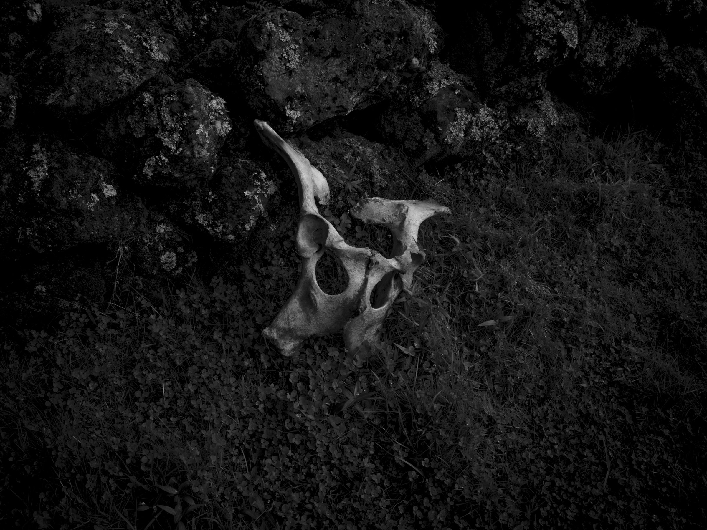 EDIT LONG AMURAS_2400 PX-8.jpg