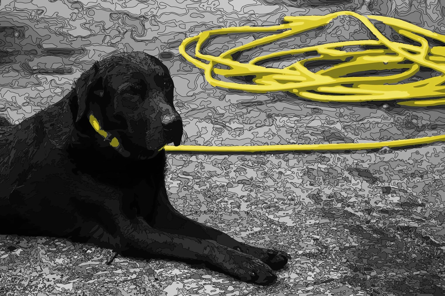 RUE DU PASSE-TEMPS_09.jpg