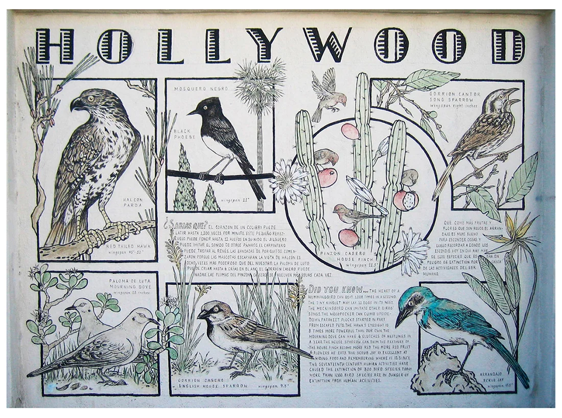 BIRDS OF HOLLYWOOD, detail, side II; exterior mural, acrylic on wall, 13’ x 11’. Fountain Ave in Hollywood, now destroyed