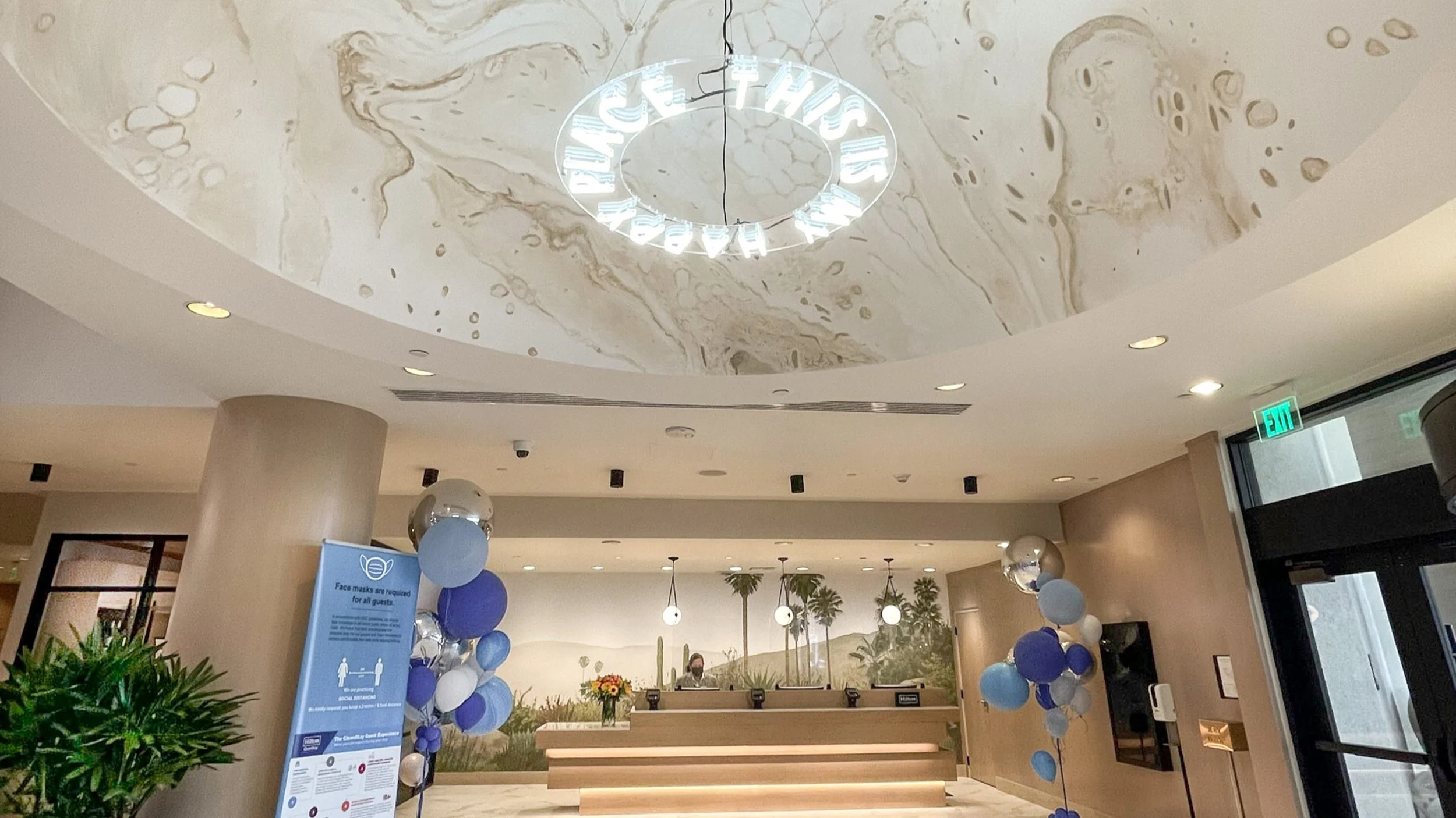 Home Ceiling Murals Gallery