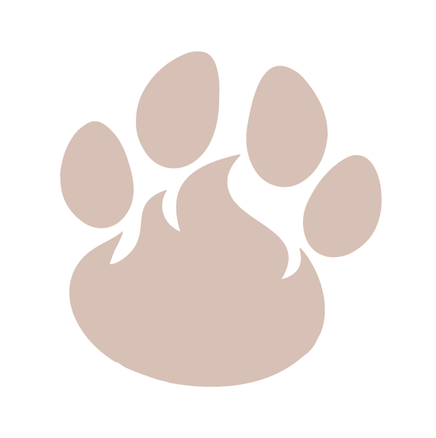 CA Fire Animal Relief Insignia Hattas Studios Pasadena Humane Society