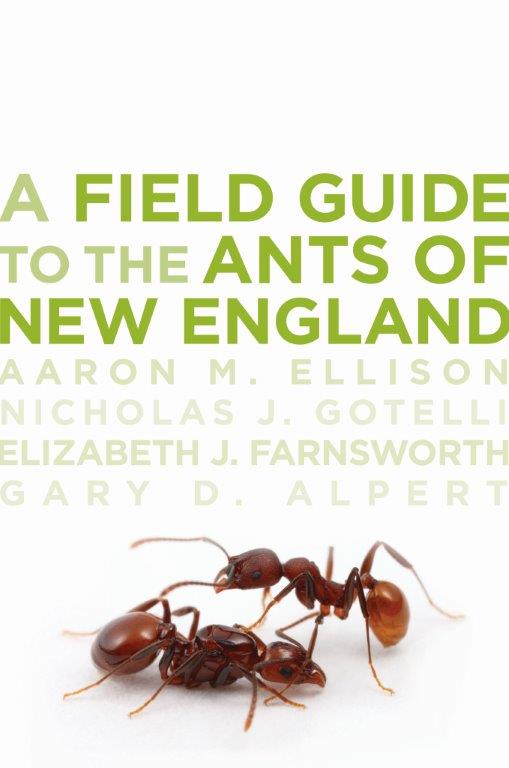 Field_Guide.jpg