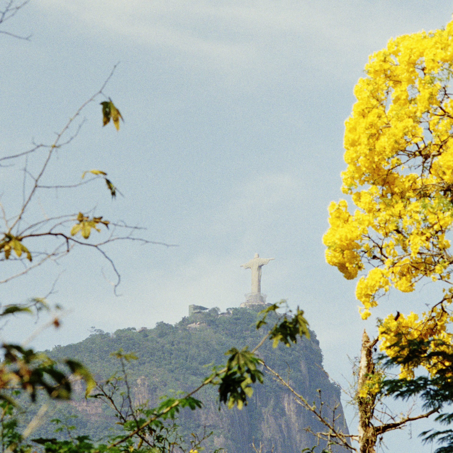 Christ the Redeemer seen from the Botanical Garden.