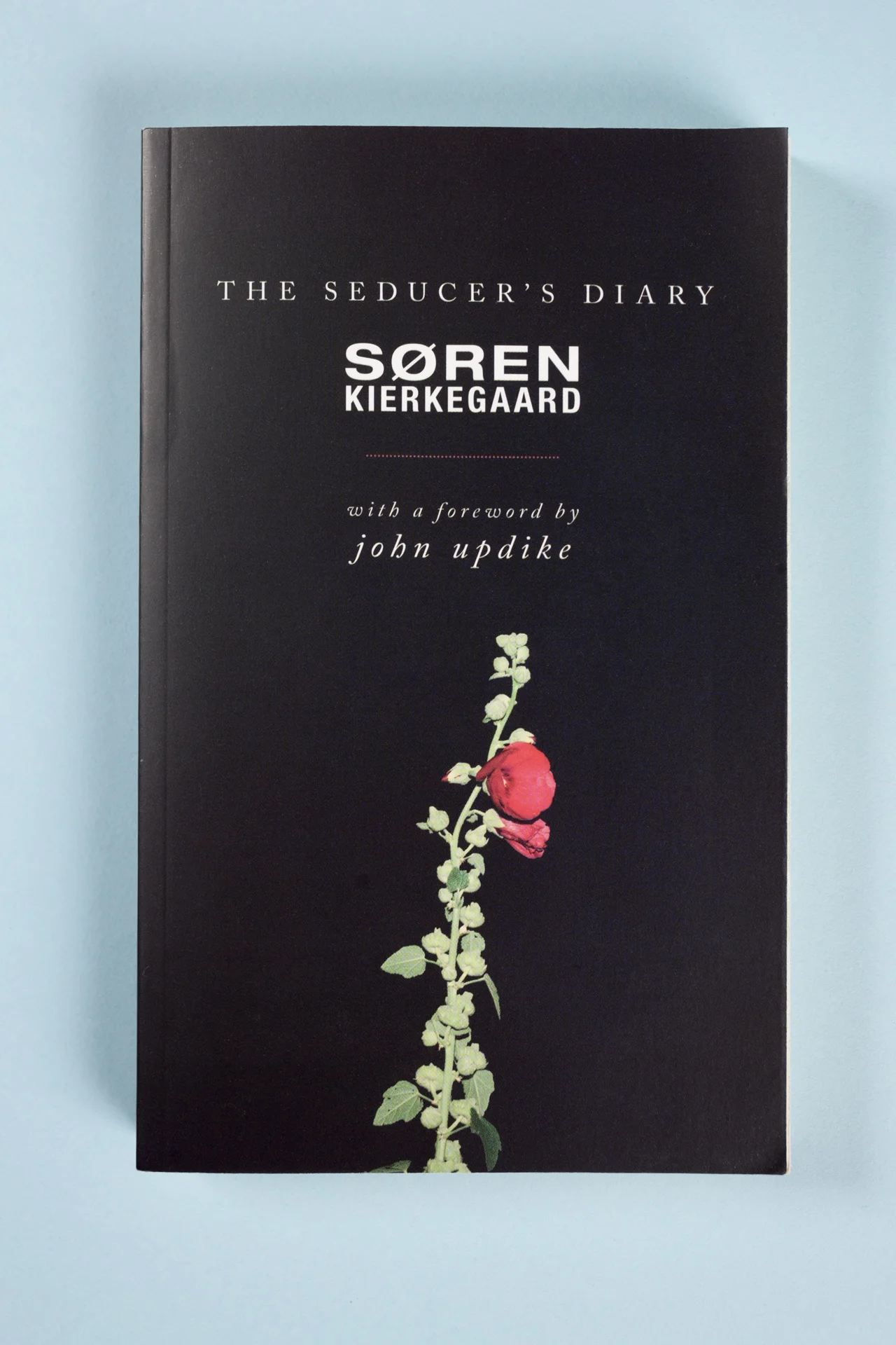 The Seducer's Diary