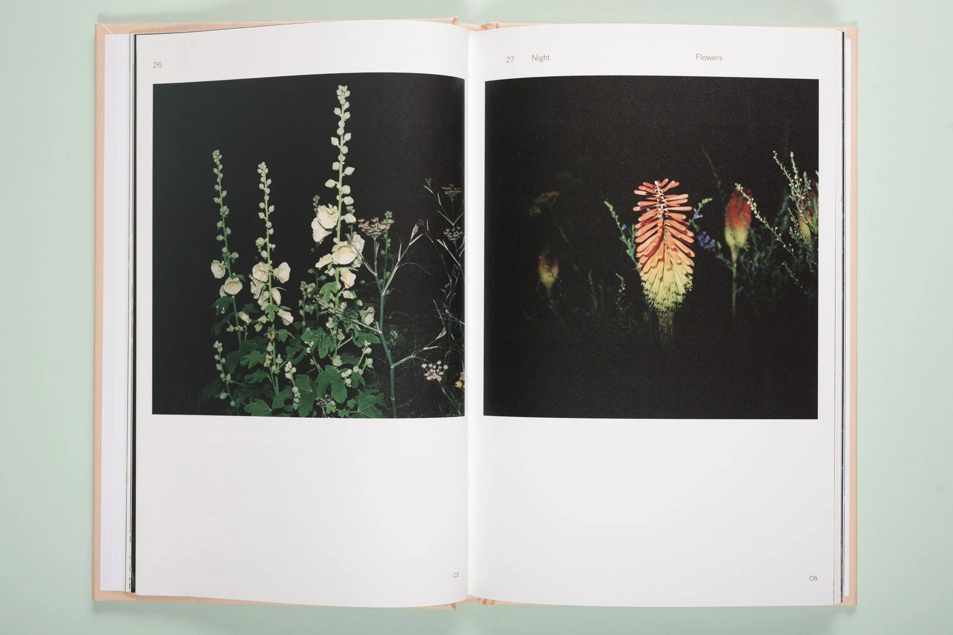 Strange Plants