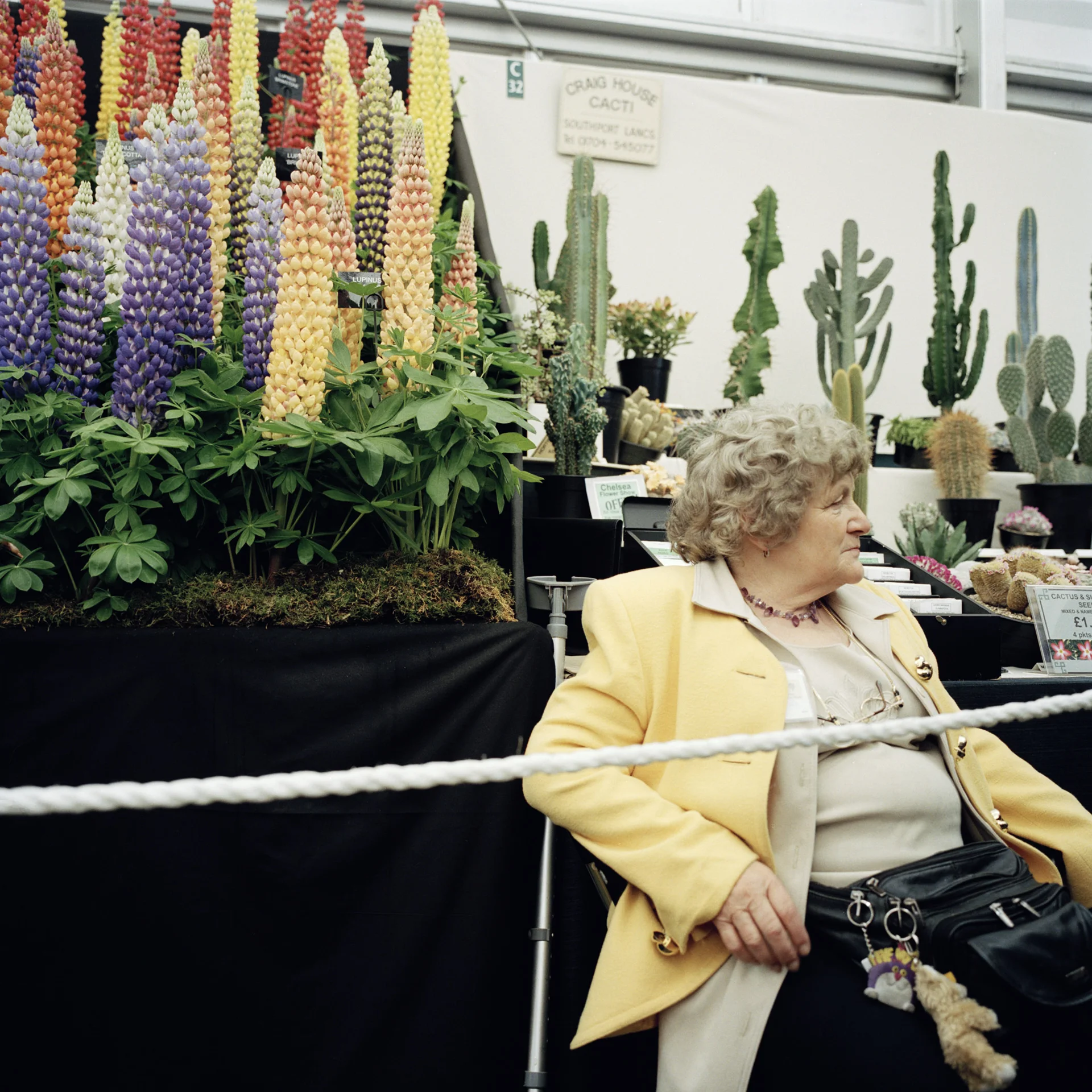 CHELSEA_FLOWER_SHOW_013.jpg