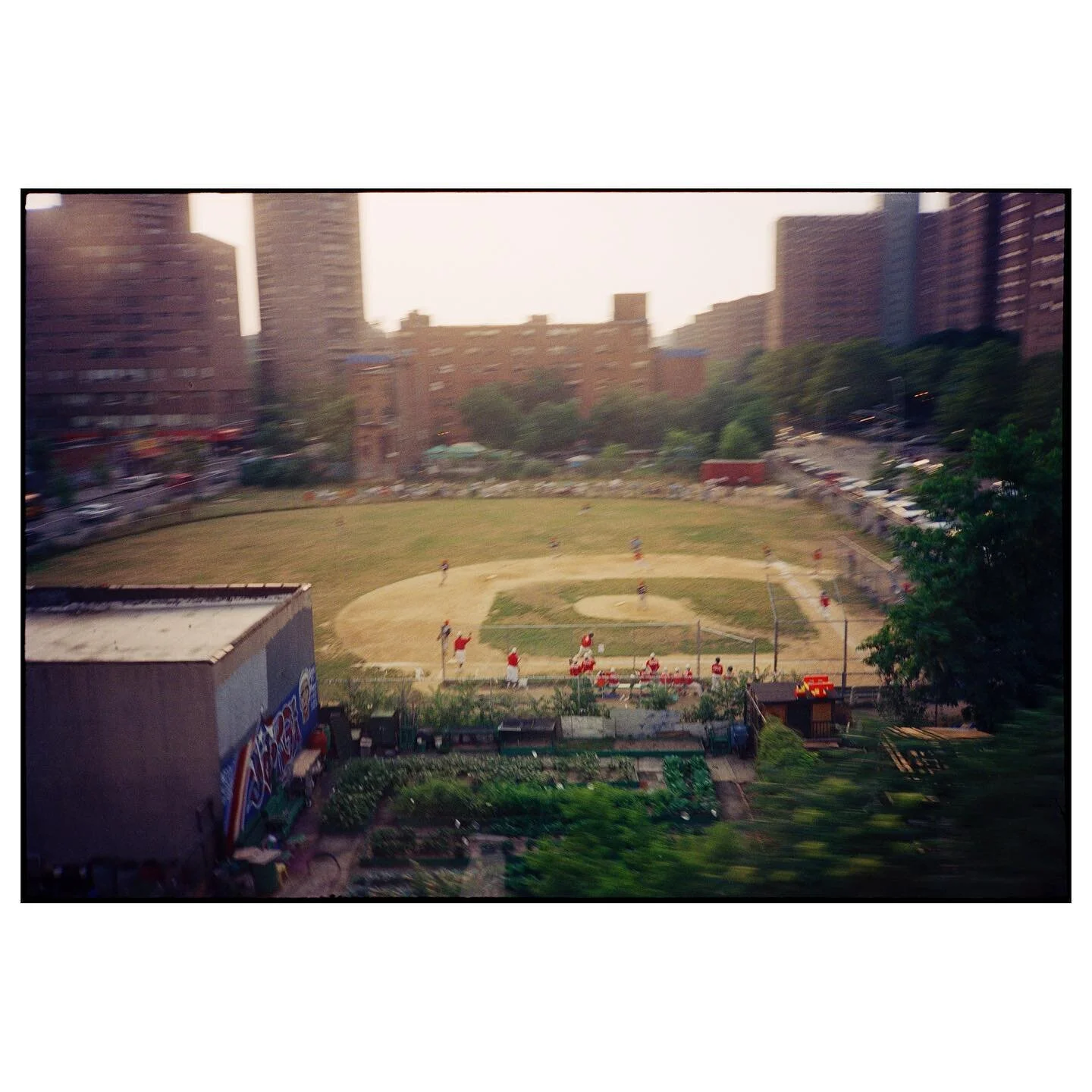 Harlem Little League game, 1997. Taken from a MetroNorth train.

Runners on 1st and 3rd. Run coming home.

#harlem
#NYC
#baseball
#littleleague
#OlympusXA
#shimmer
#summer
#twilight
#throughawindow
#fujifilm
#fujifilmsuperia200
#ifyouleave
#intercoll