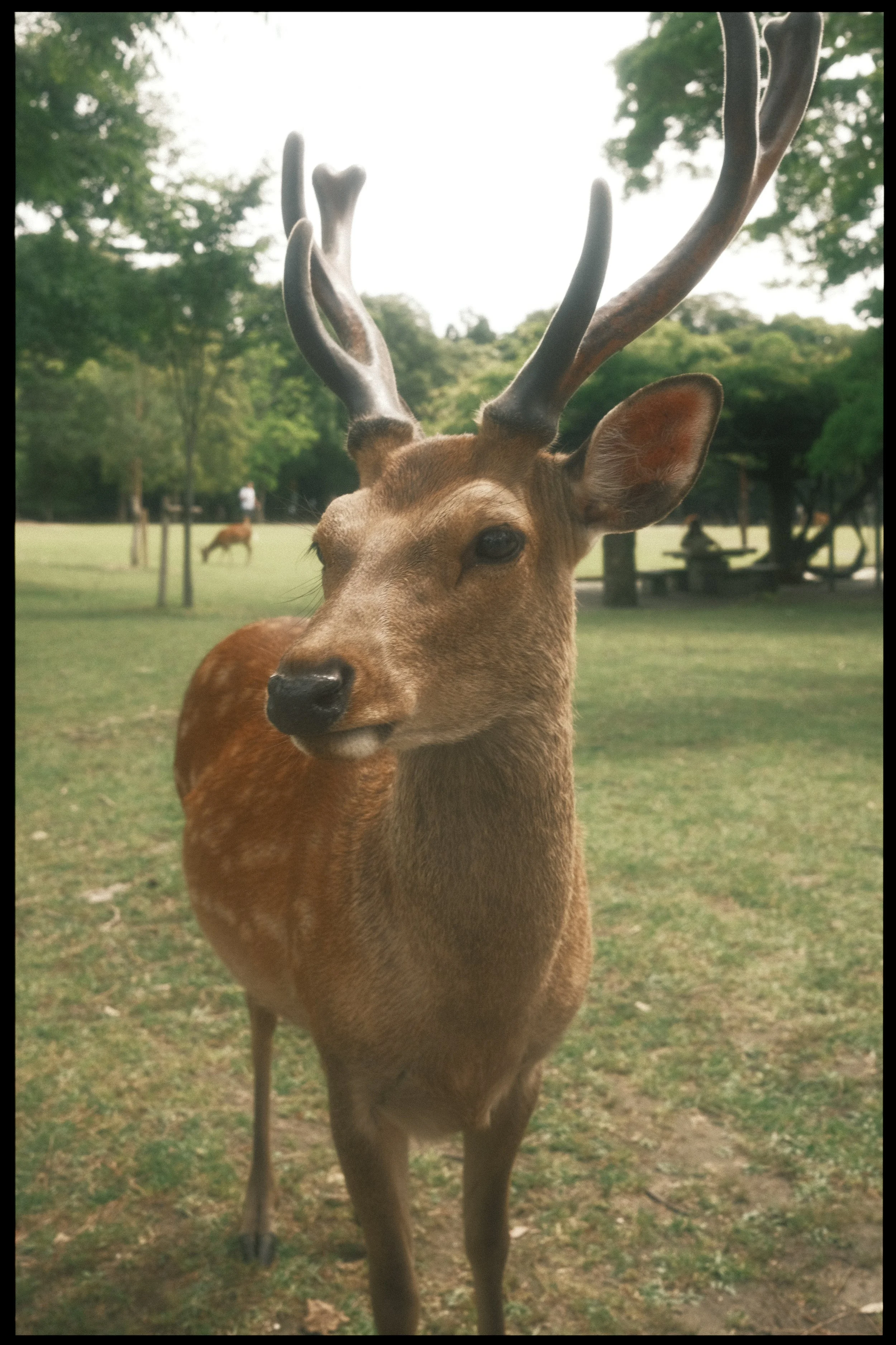 japan-48.jpg