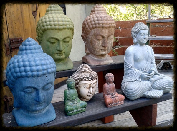 The Buddhas