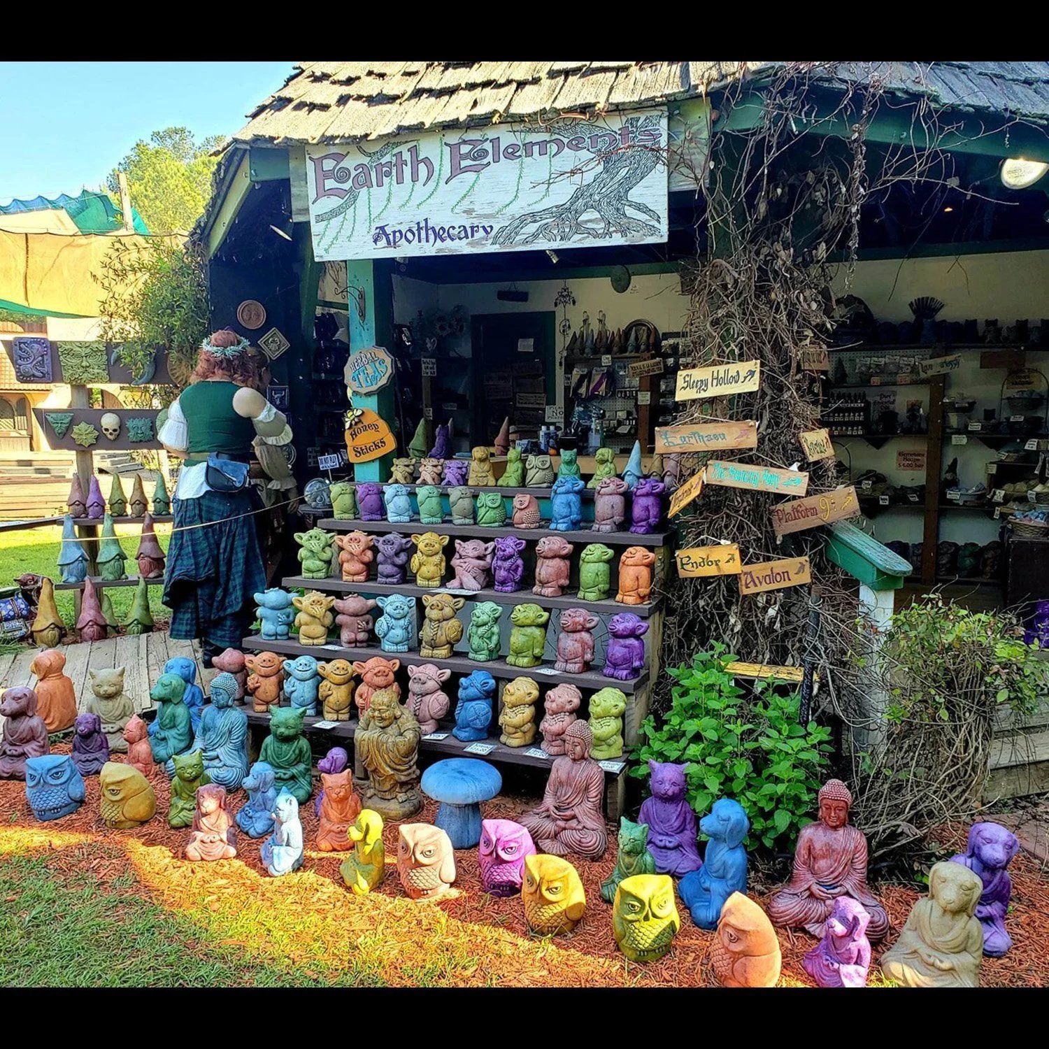 Georgia Renaissance Festival