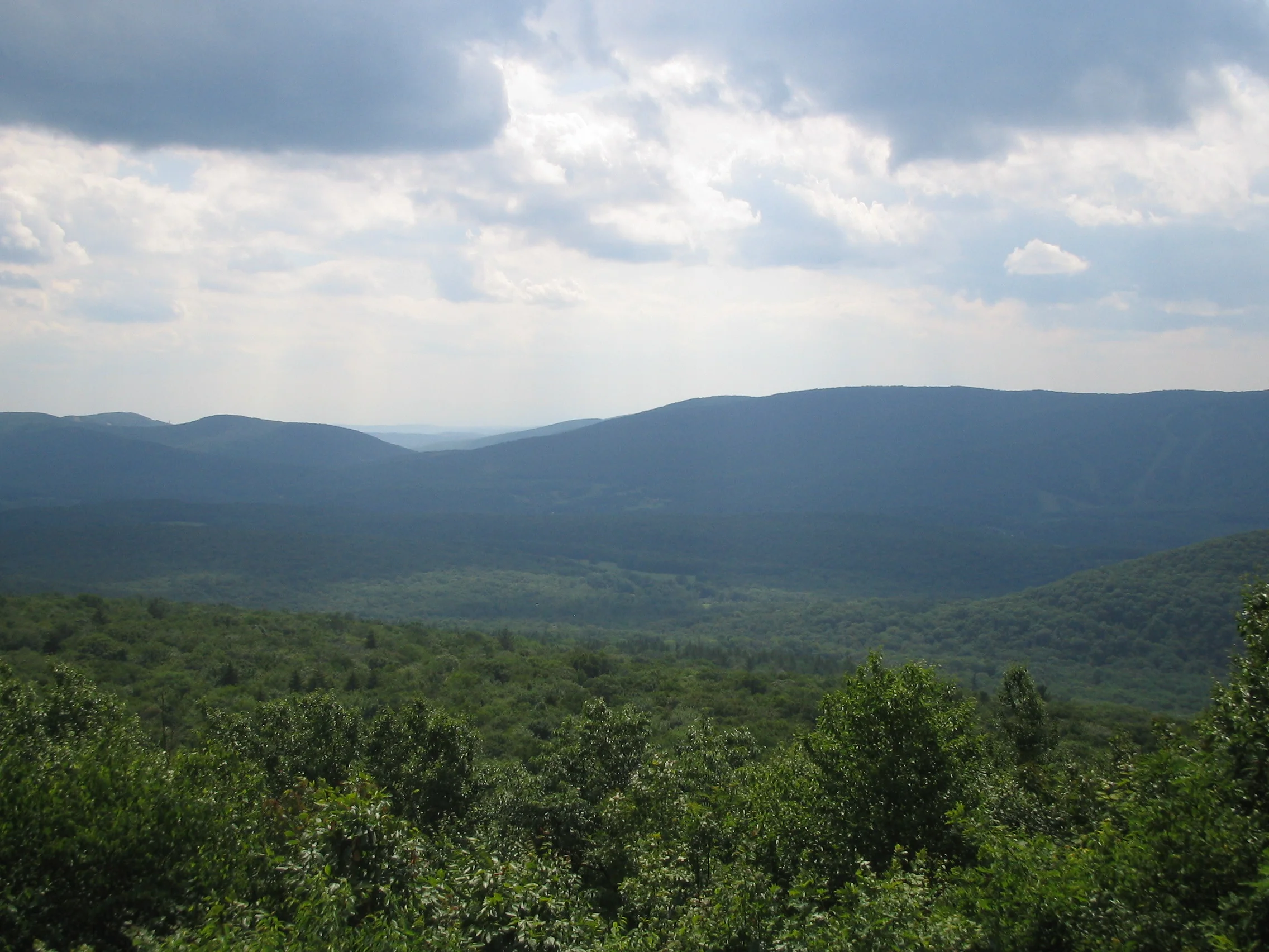 Climbing Mt. Greylock