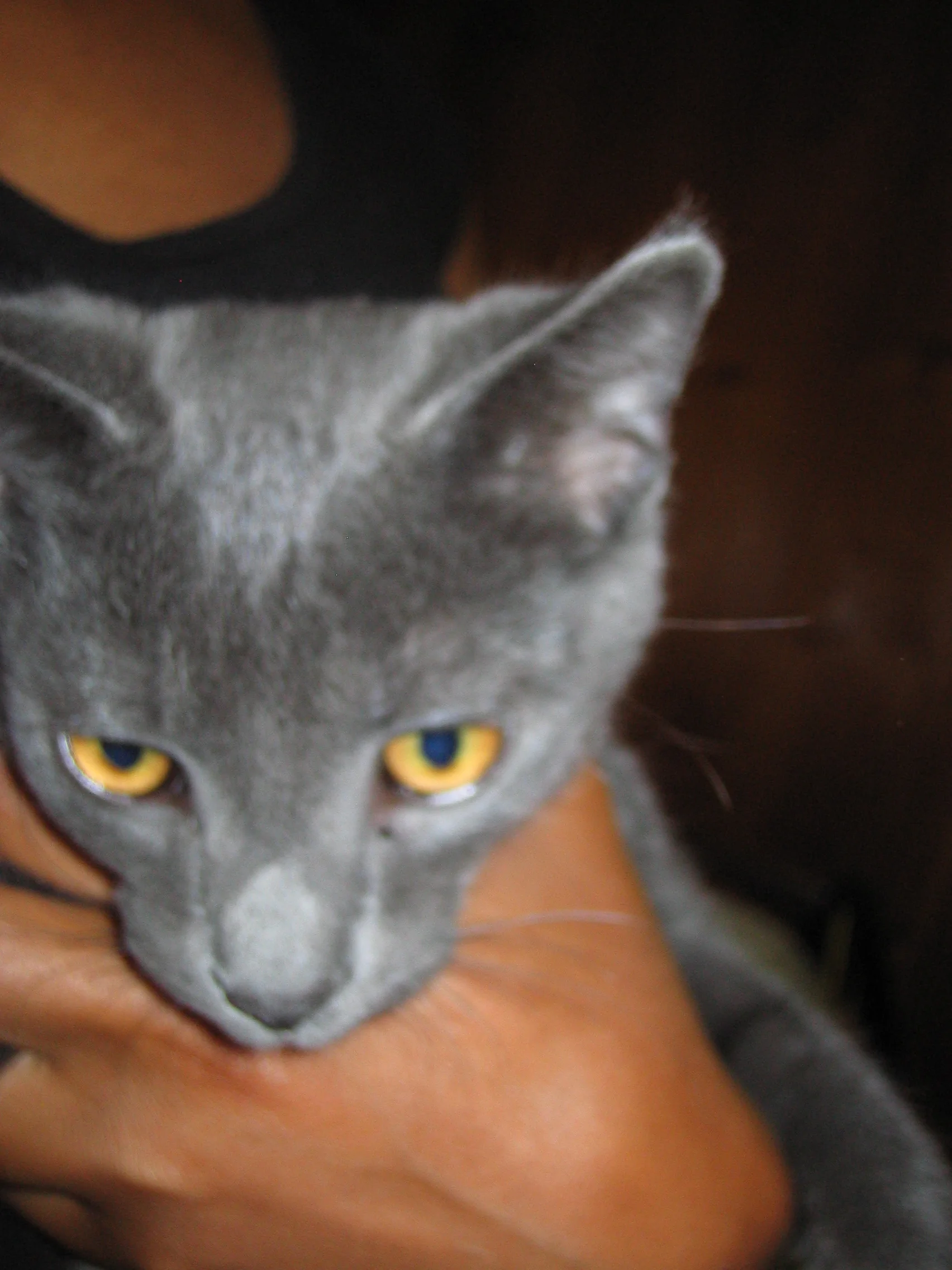 IICD Massachusetts Development Instructor