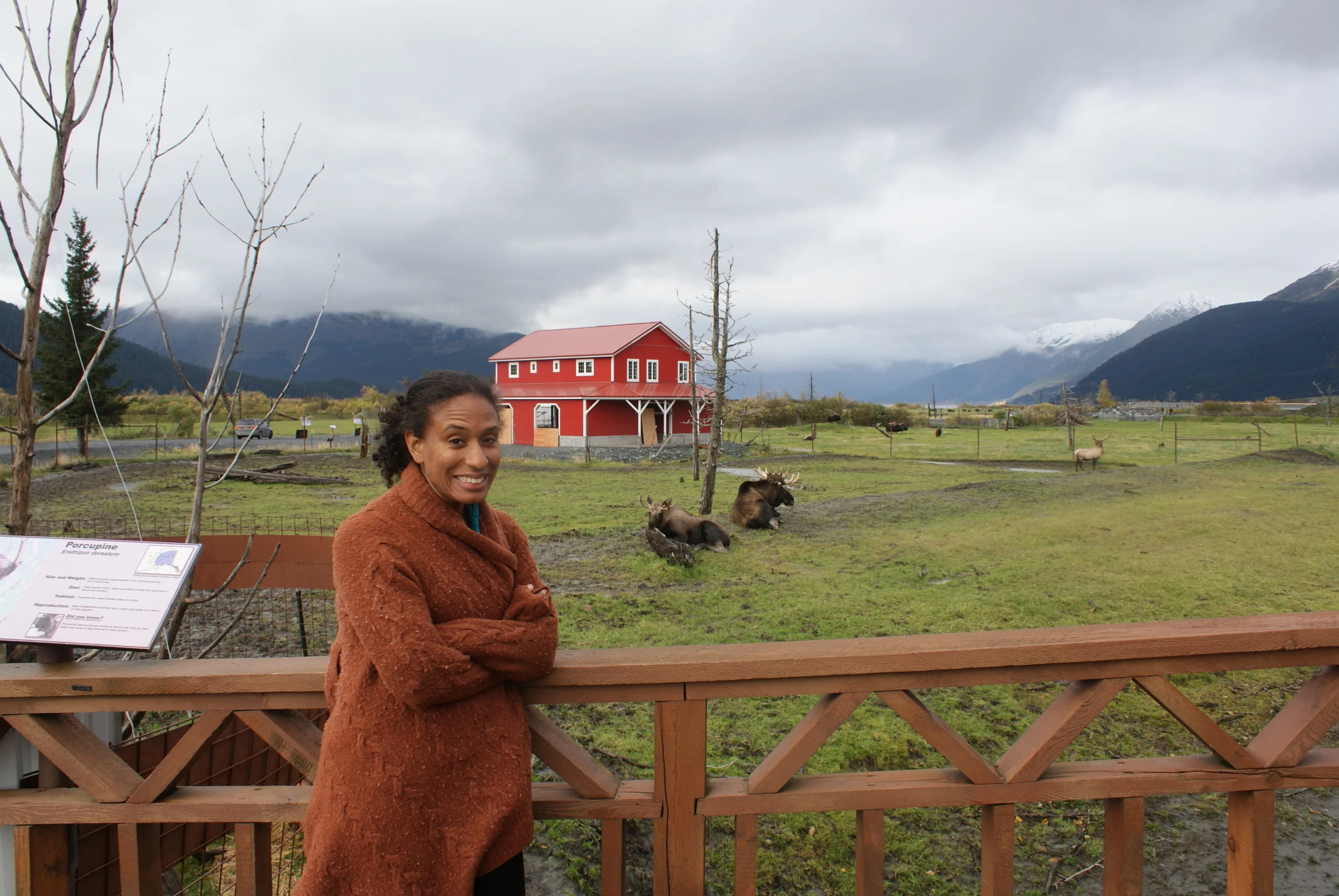 10 Excellent Travel Tour Companies to Book Your Next Trip With