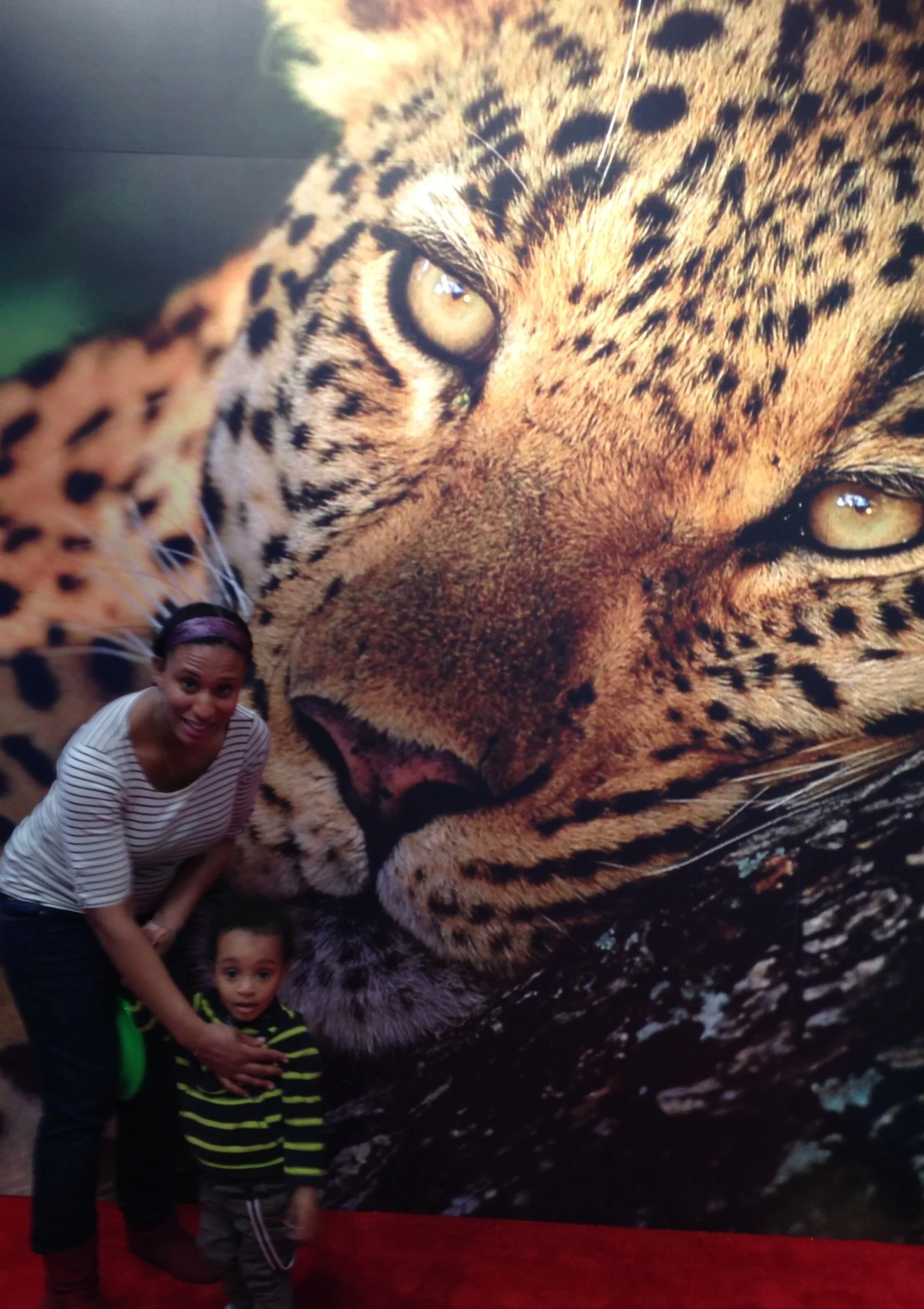 Keeping the Dream Alive at the New York Times Travel Show!