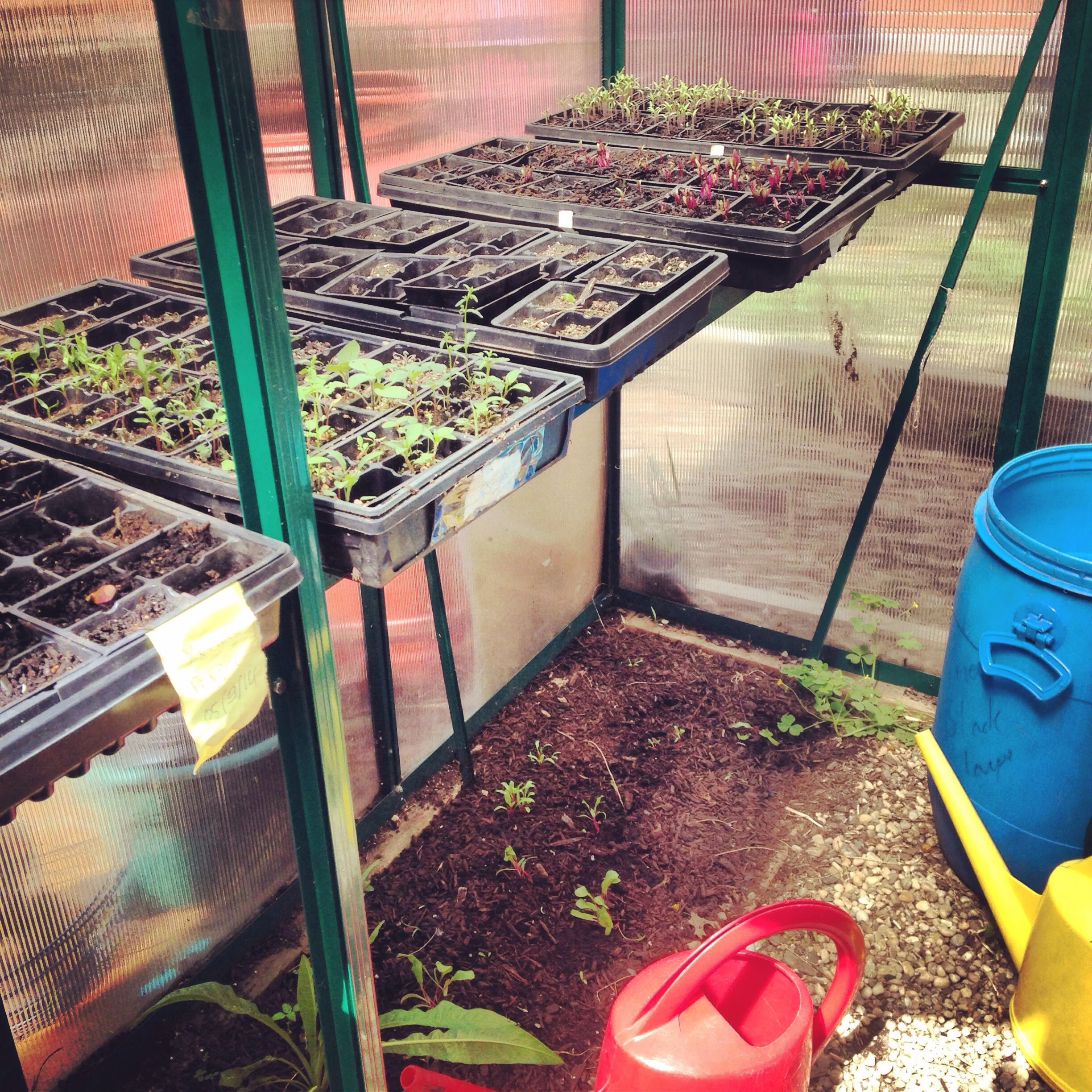 Communing with Nature in the South Bronx