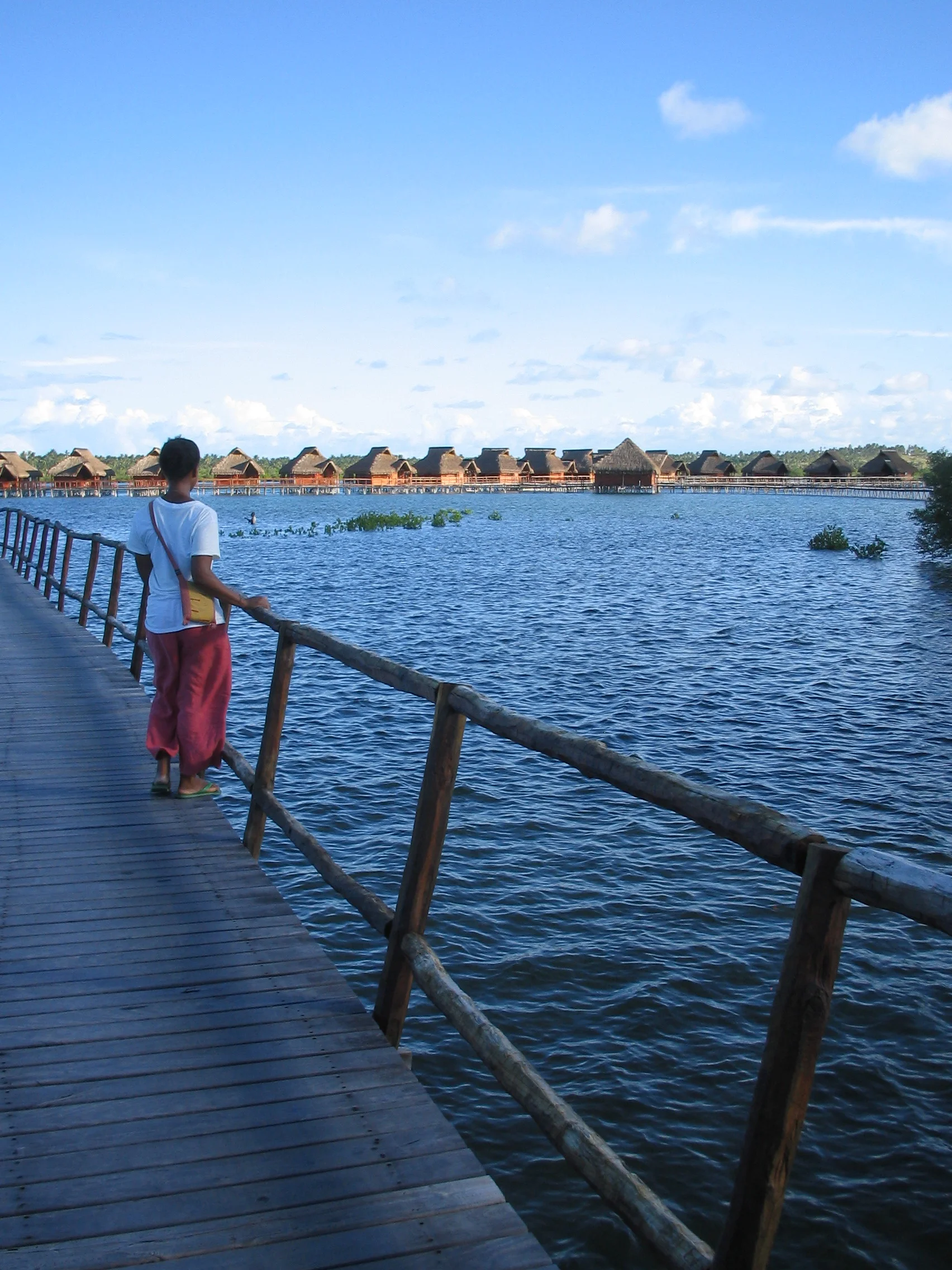 Drawing Inspiration from Mozambique