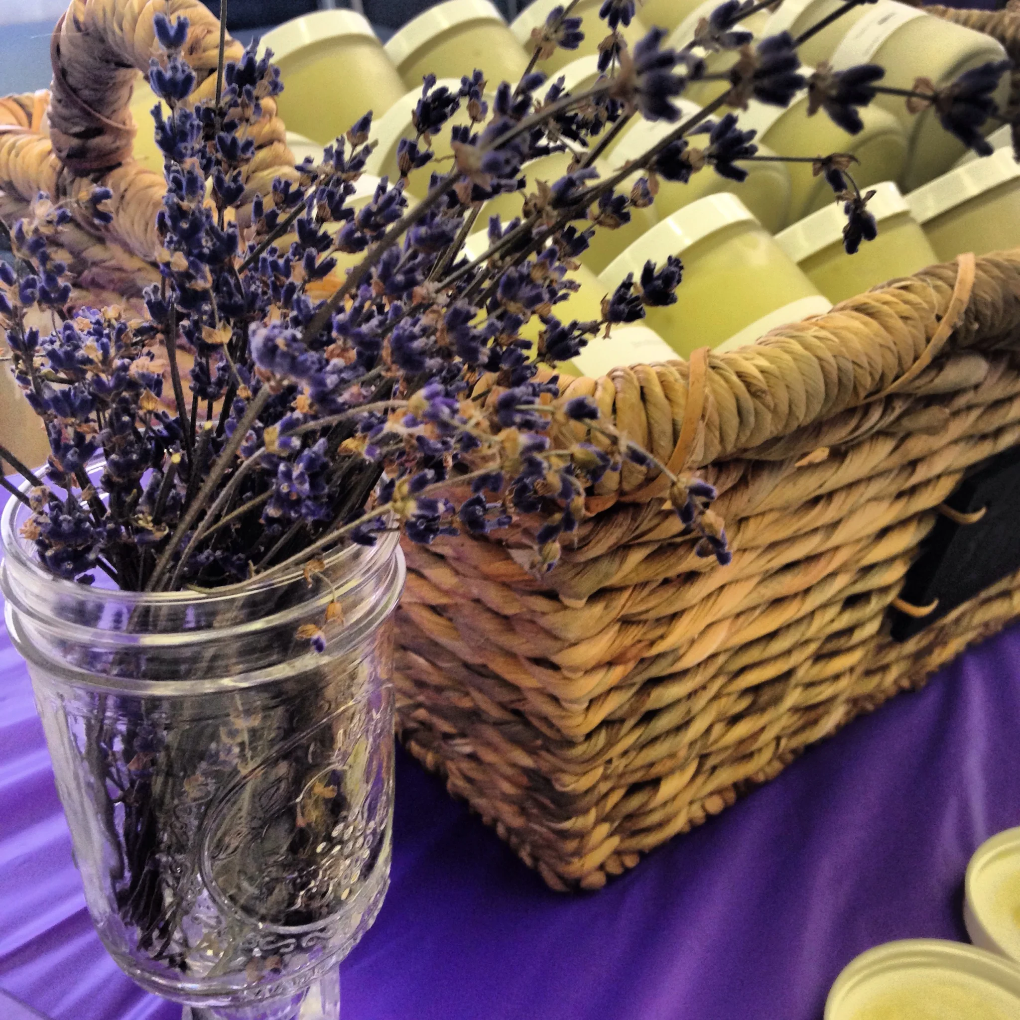 Drawing Inspiration from France