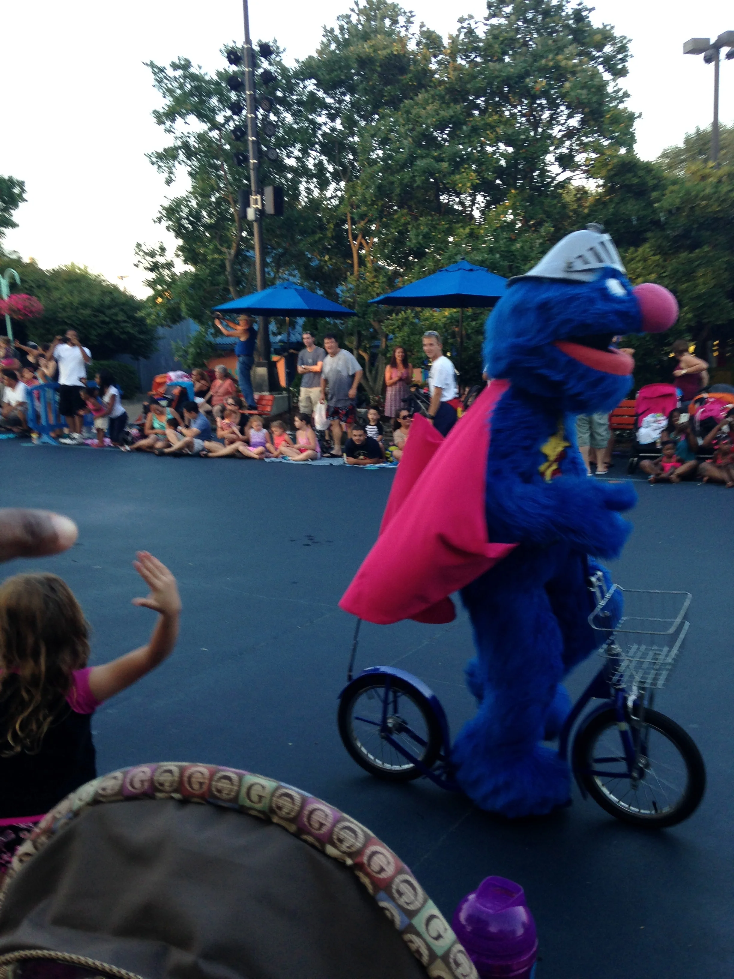 Coming to Terms with Sesame Place