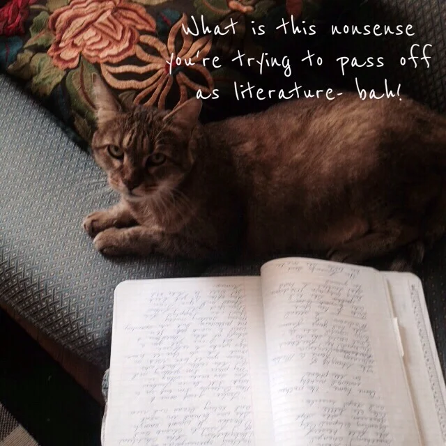 A Space Of My Own: Reflections on Being a Write at Home Mommy