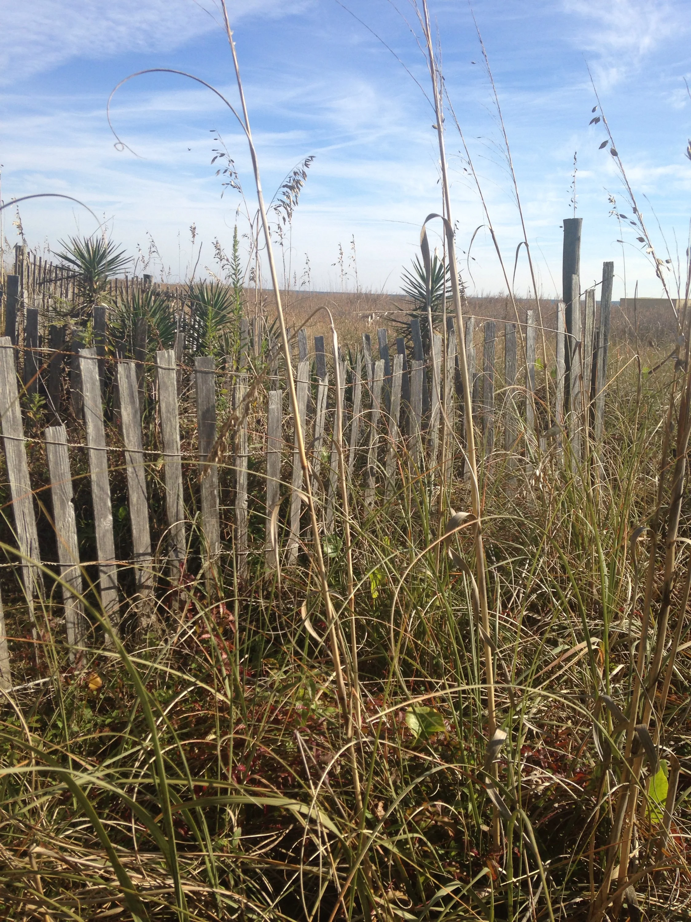 Re-discovering Myrtle Beach or That one Spring Break or Don't Be a Victim of Winter Weather!