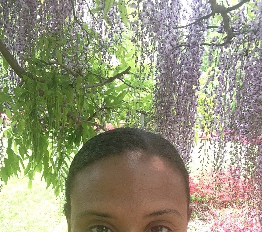 The Brooklyn Botanic Gardens: Where Beautiful Purple Things Grow!