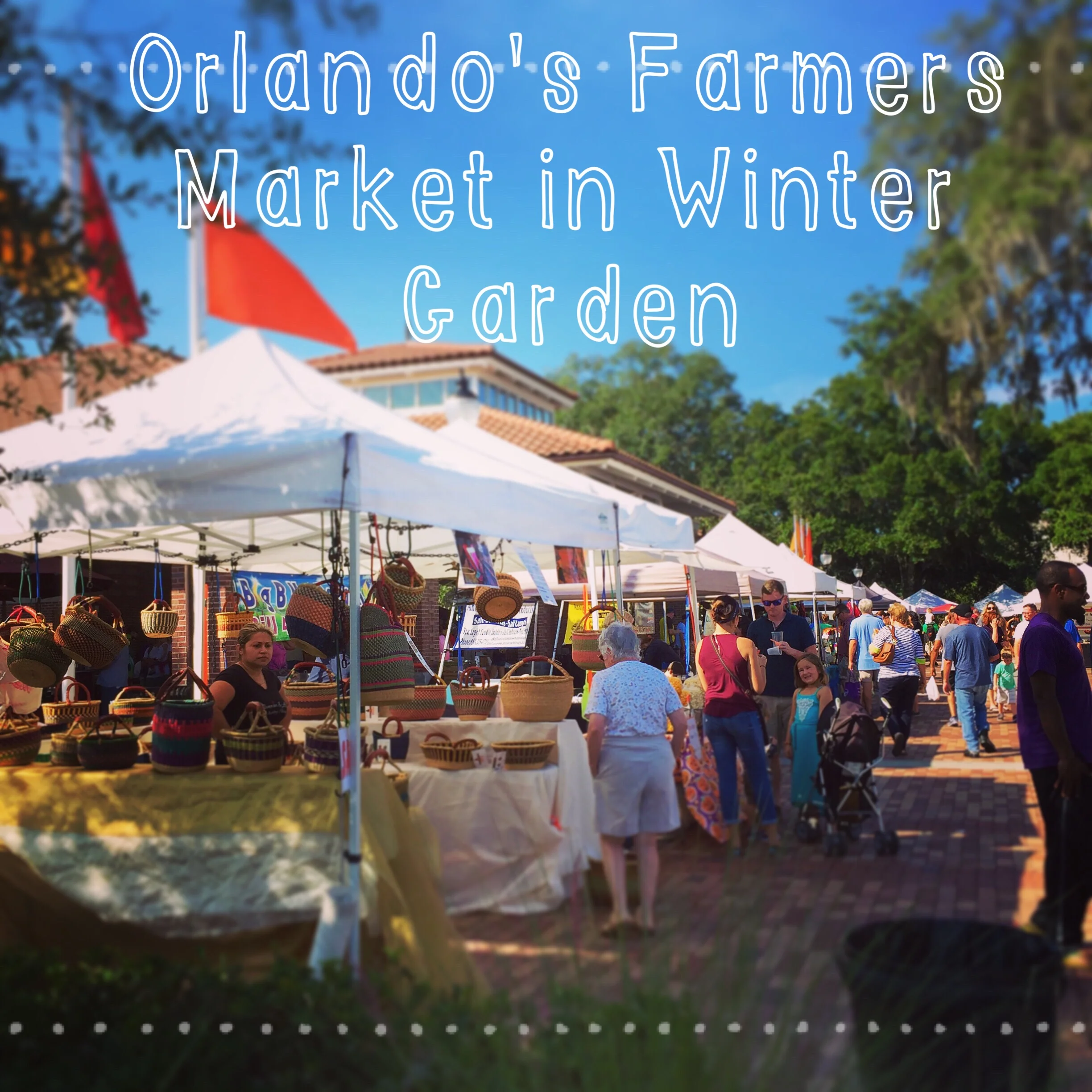 Natural UV Protection Using Tamanu Oil: My Favorite Find at the Farmer's Market in Winter Garden